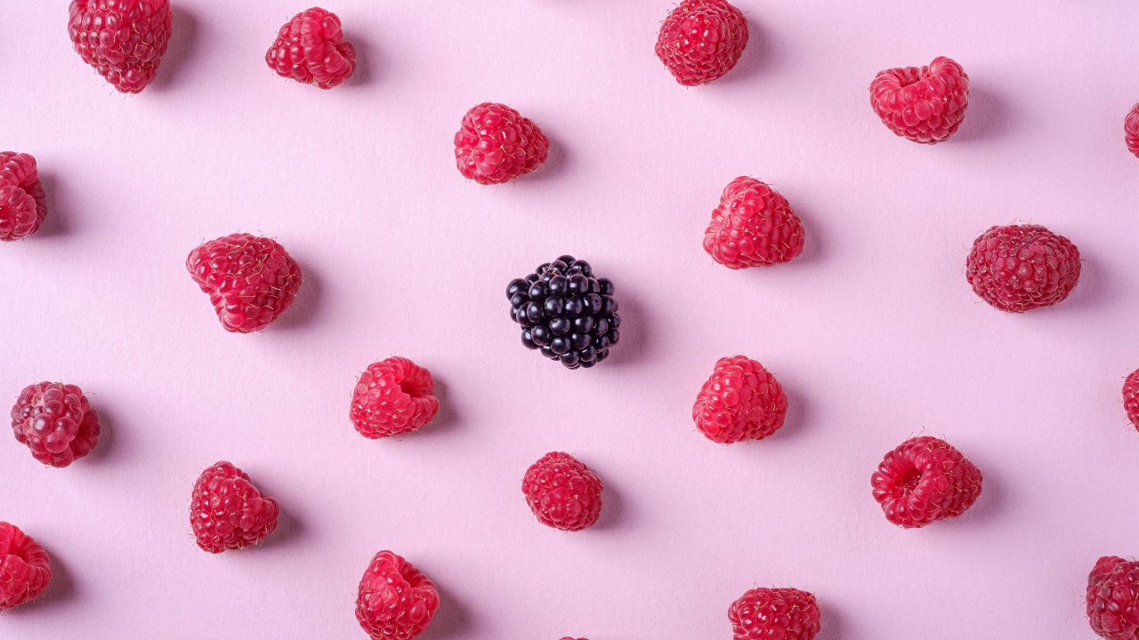 Black and Red Berries on White Background. Wallpaper in 1280x720 Resolution