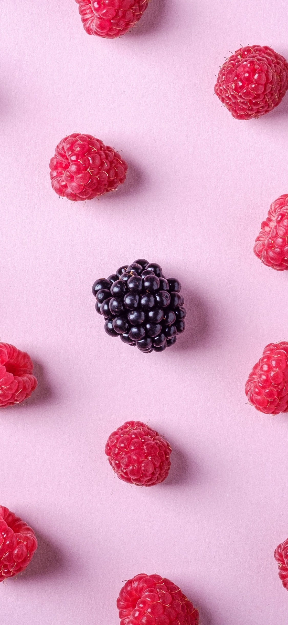 Schwarze Und Rote Beeren Auf Weißem Hintergrund. Wallpaper in 1125x2436 Resolution