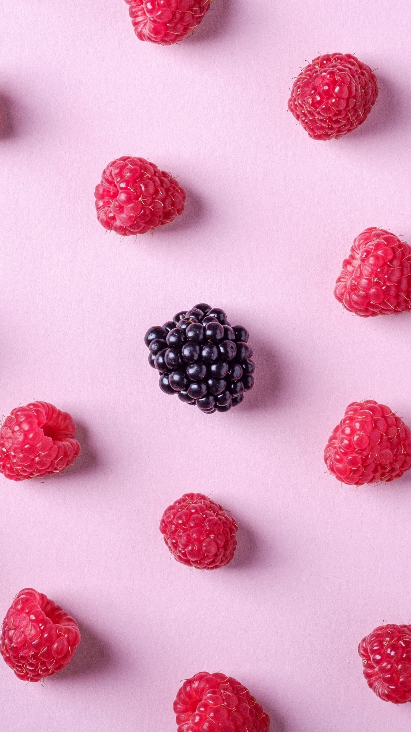 Schwarze Und Rote Beeren Auf Weißem Hintergrund. Wallpaper in 1440x2560 Resolution