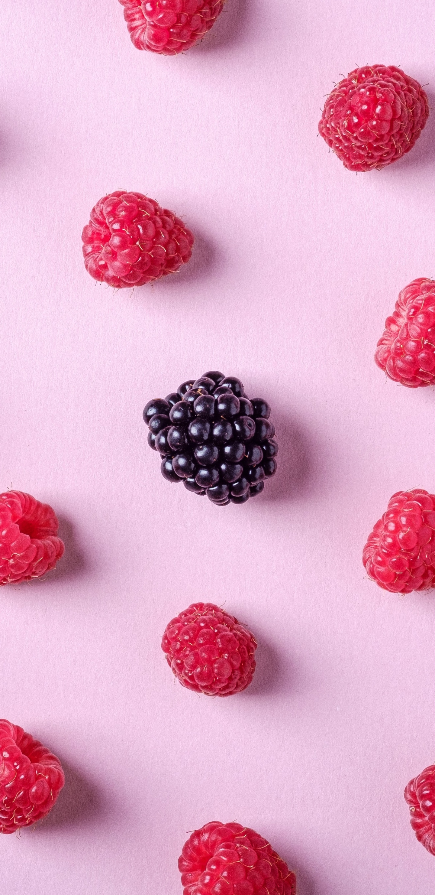 Schwarze Und Rote Beeren Auf Weißem Hintergrund. Wallpaper in 1440x2960 Resolution