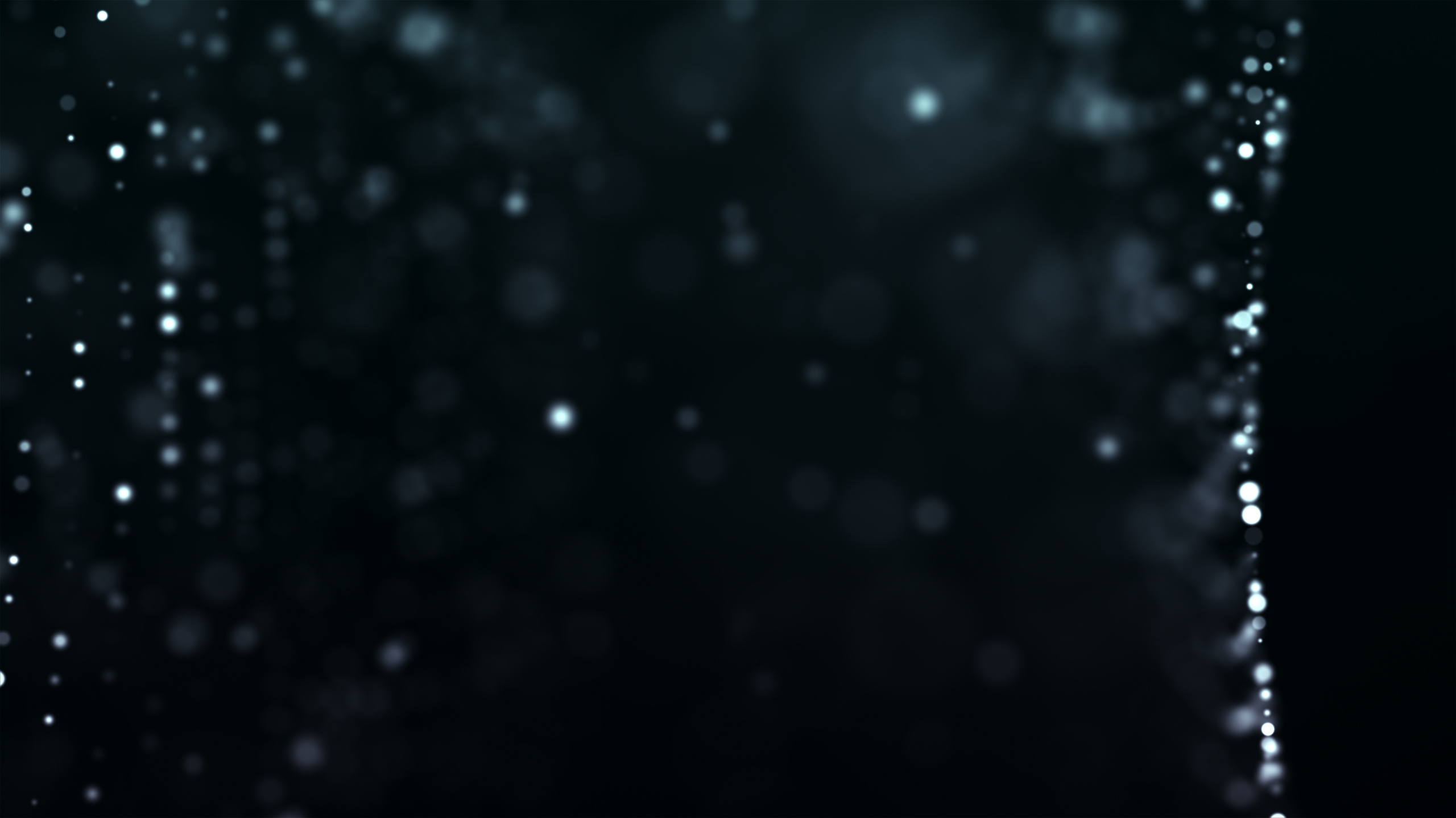 Weiße Und Schwarze Sterne am Himmel. Wallpaper in 2560x1440 Resolution