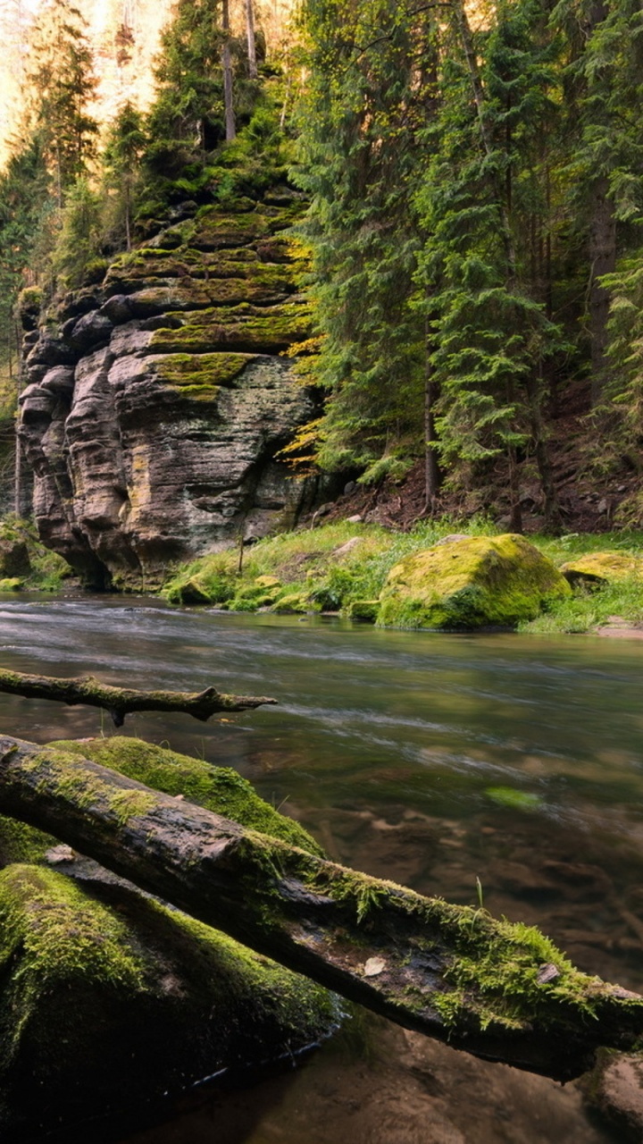 Green Moss on Brown Rock Formation Near River During Daytime. Wallpaper in 720x1280 Resolution