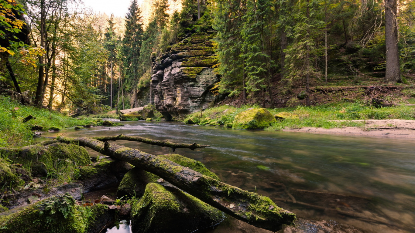 Grünes Moos Auf Brauner Felsformation in Der Nähe Des Flusses Tagsüber. Wallpaper in 1366x768 Resolution