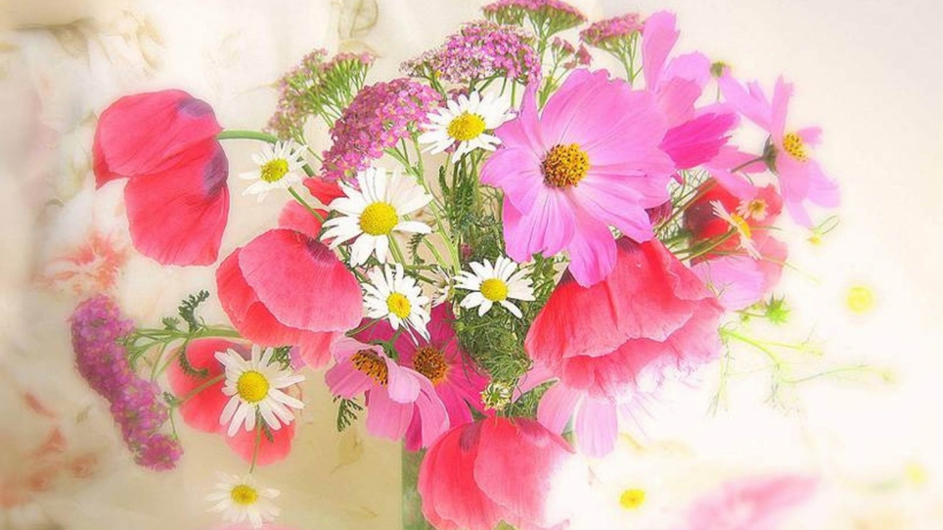 Pintura de Flores Rosadas y Blancas. Wallpaper in 1366x768 Resolution