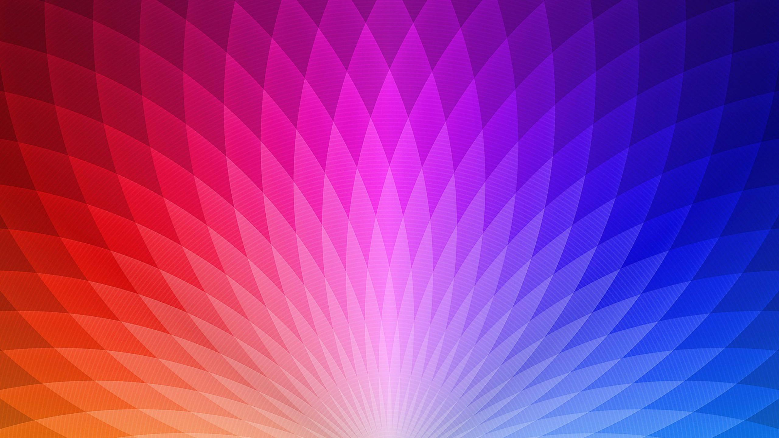 Illustration de Lumière Bleue et Rose. Wallpaper in 2560x1440 Resolution