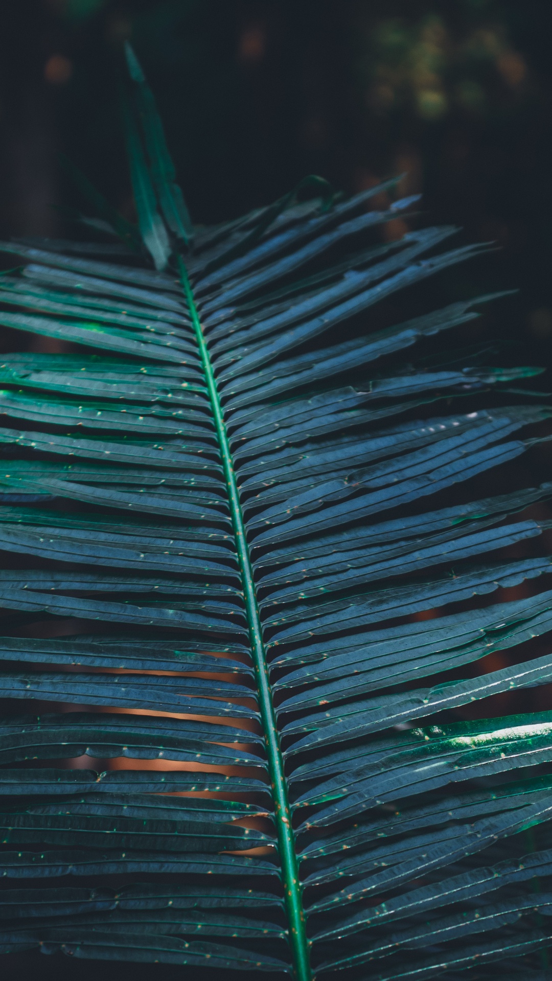 Leaf, Turquoise, Factory, Water, Vegetation. Wallpaper in 1080x1920 Resolution