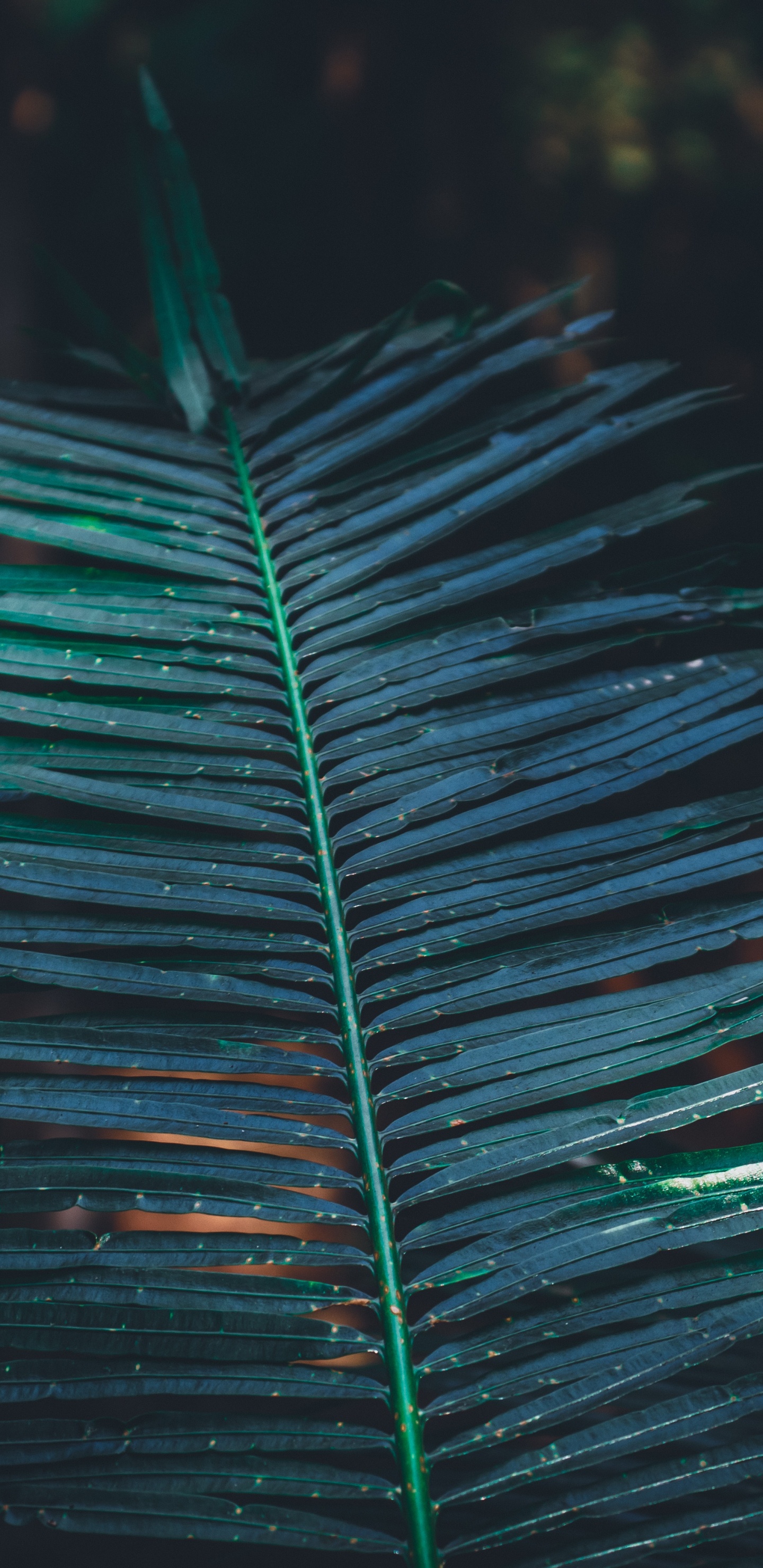 Leaf, Turquoise, Factory, Water, Vegetation. Wallpaper in 1440x2960 Resolution