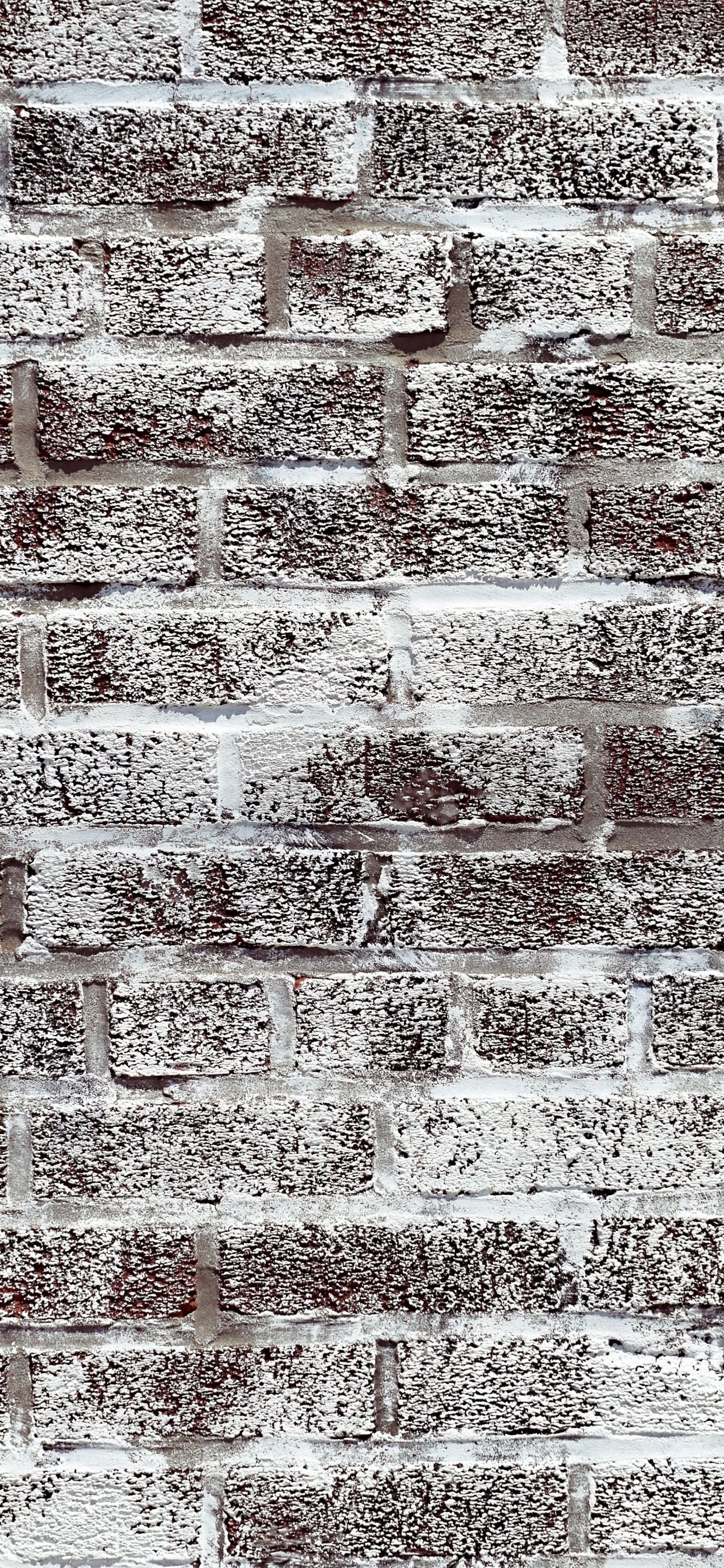 Mural, Alfombra, Beige, en Blanco y Negro, Idea. Wallpaper in 1242x2688 Resolution