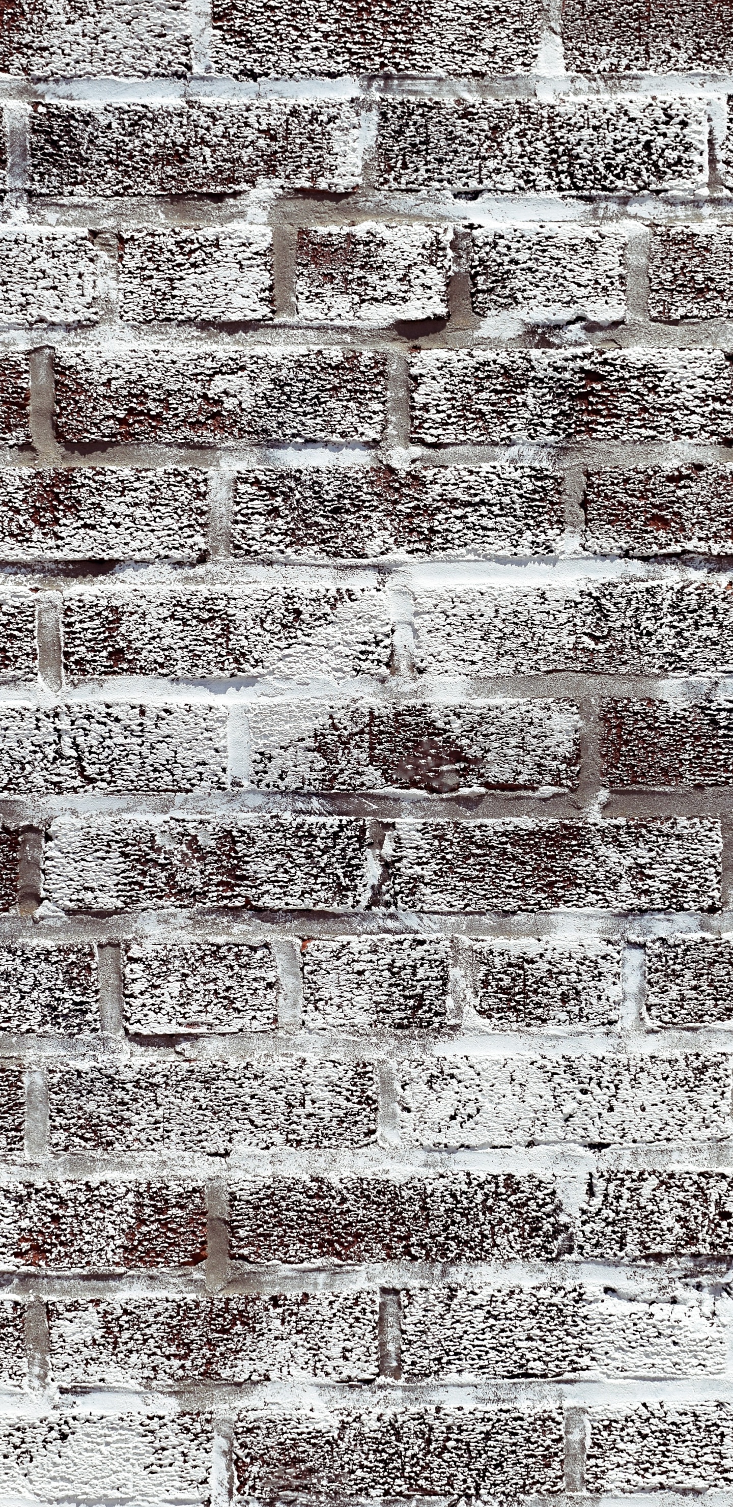 Mural, Alfombra, Beige, en Blanco y Negro, Idea. Wallpaper in 1440x2960 Resolution