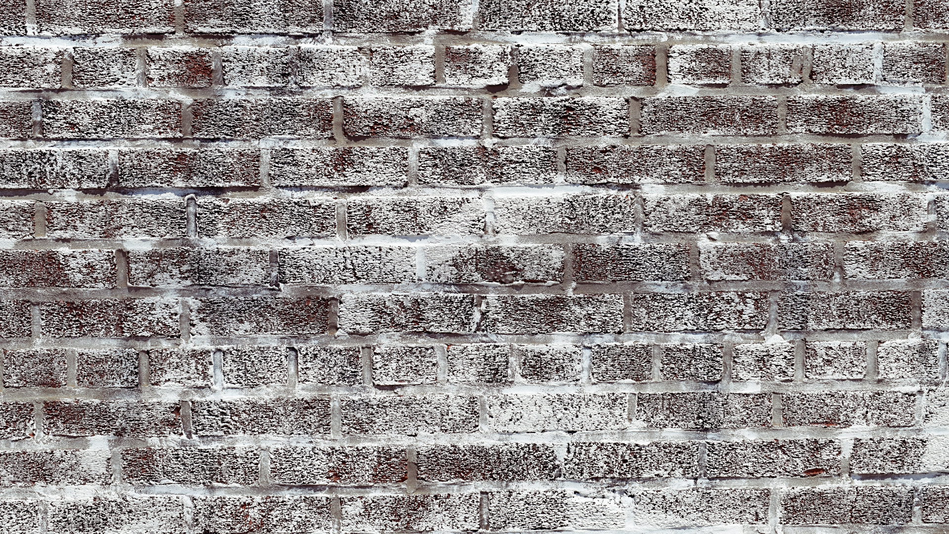 Mural, Alfombra, Beige, en Blanco y Negro, Idea. Wallpaper in 1920x1080 Resolution