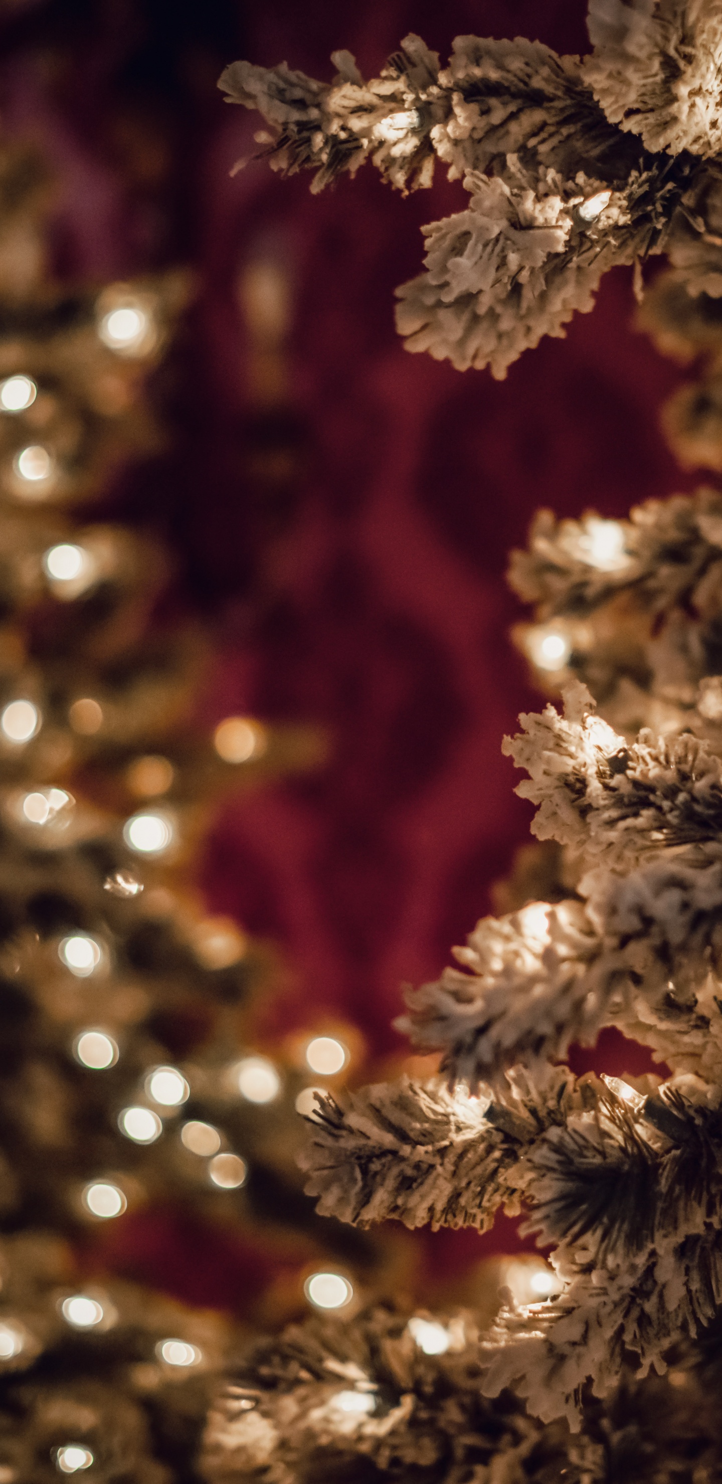 Arbre de Noël Blanc et Marron. Wallpaper in 1440x2960 Resolution