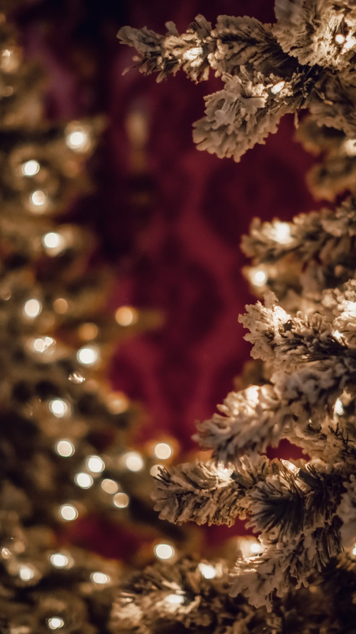 Arbre de Noël Blanc et Marron. Wallpaper in 720x1280 Resolution