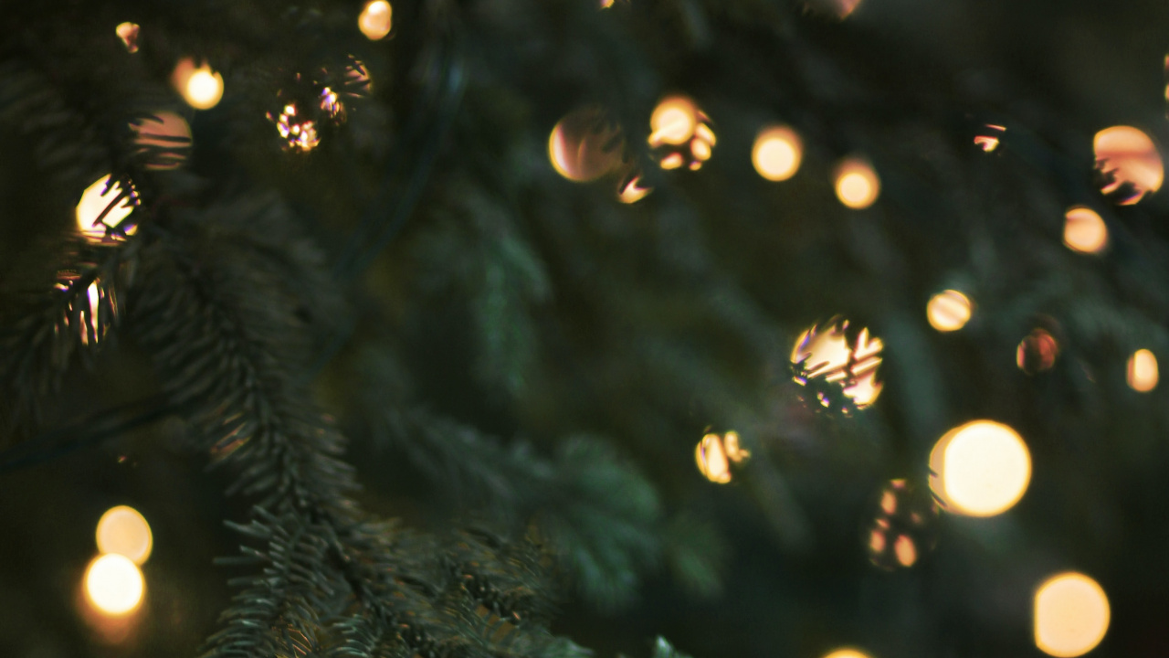 Navidad, Luces de Navidad, Adorno de Navidad, Luz, El Día De Navidad. Wallpaper in 1280x720 Resolution