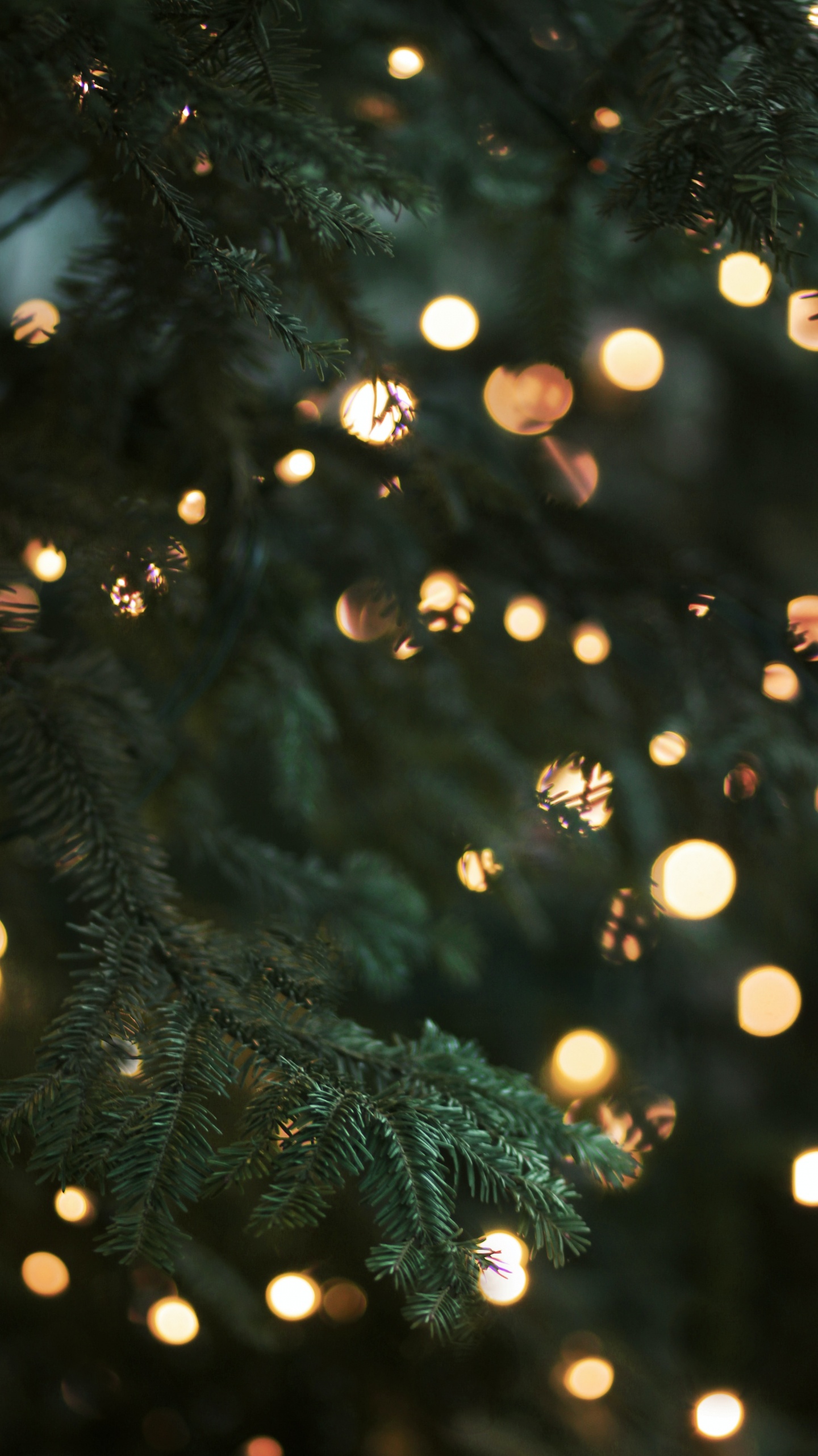 Navidad, Luces de Navidad, Adorno de Navidad, Luz, El Día De Navidad. Wallpaper in 1440x2560 Resolution