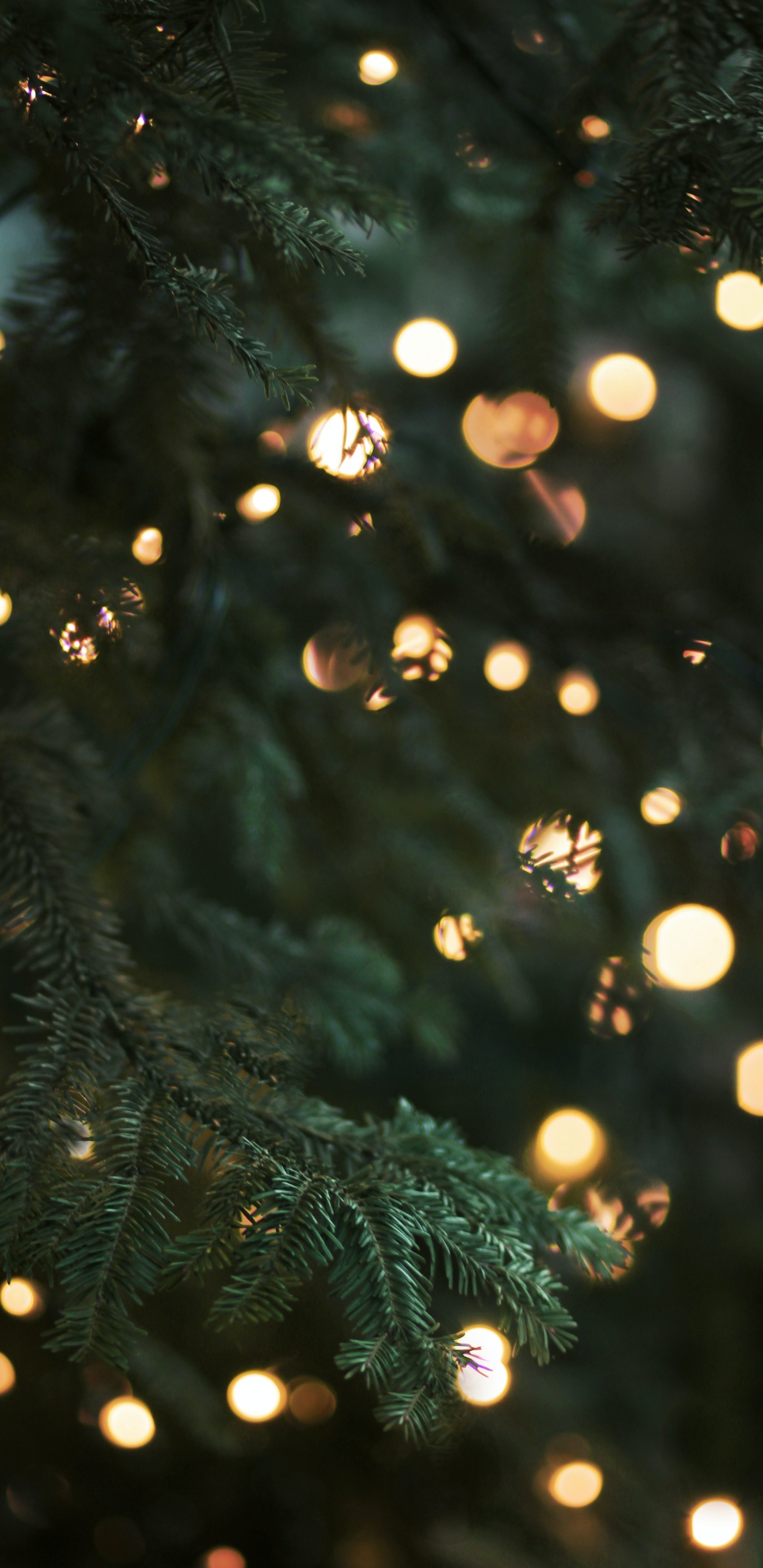 Navidad, Luces de Navidad, Adorno de Navidad, Luz, El Día De Navidad. Wallpaper in 1440x2960 Resolution