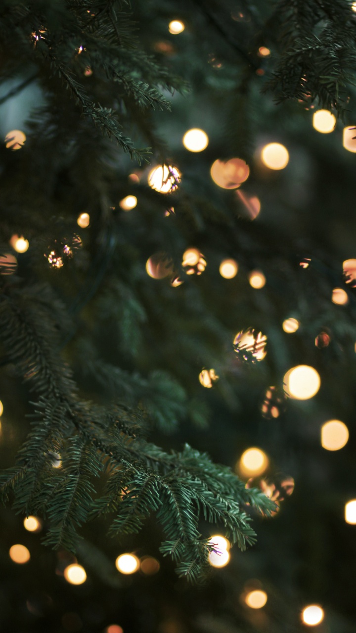 Navidad, Luces de Navidad, Adorno de Navidad, Luz, El Día De Navidad. Wallpaper in 720x1280 Resolution