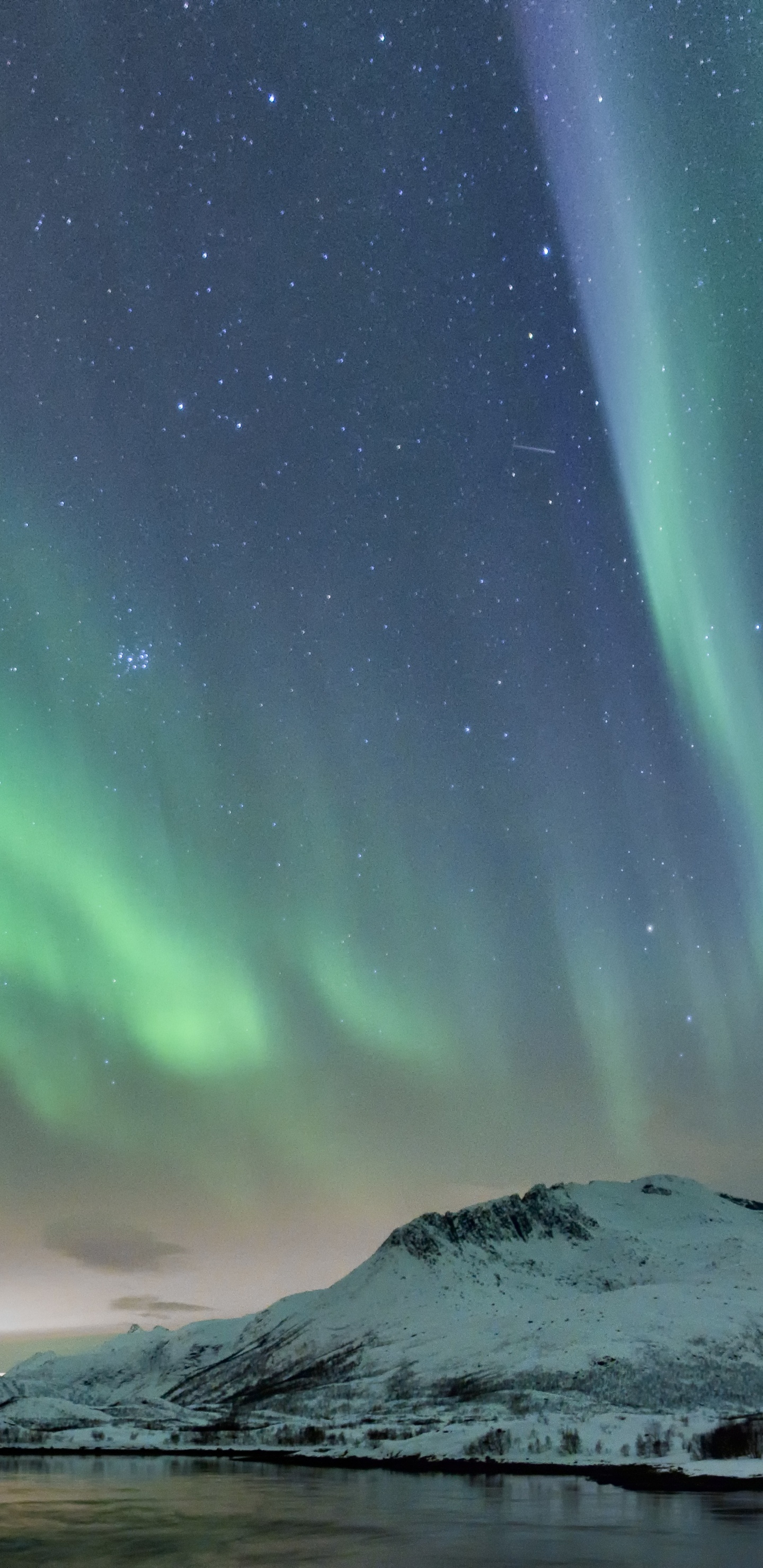 Norvège, Aurora, Nature, Green, Atmosphère. Wallpaper in 1440x2960 Resolution