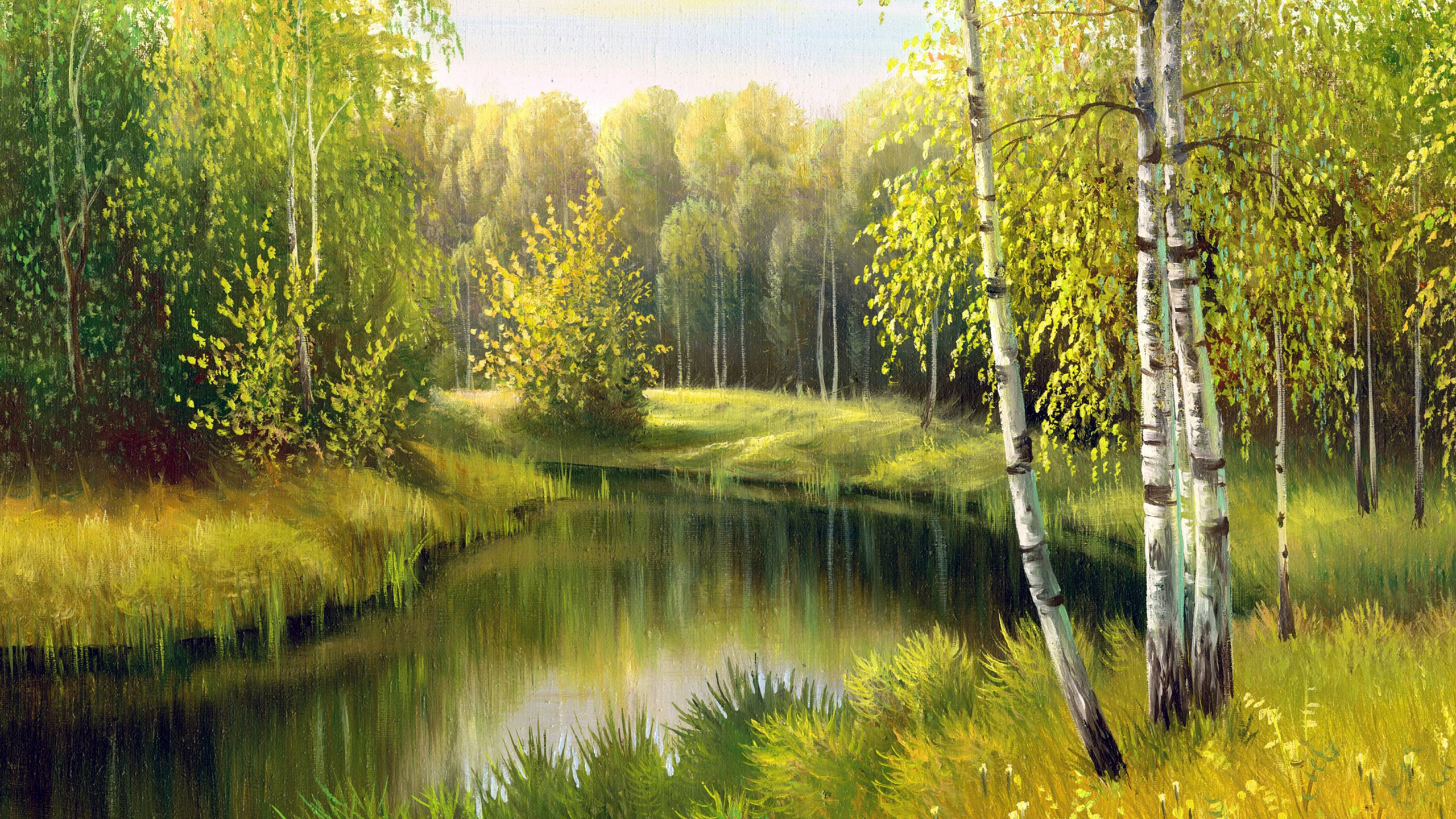 Green Trees Beside River Under Blue Sky During Daytime. Wallpaper in 2560x1440 Resolution