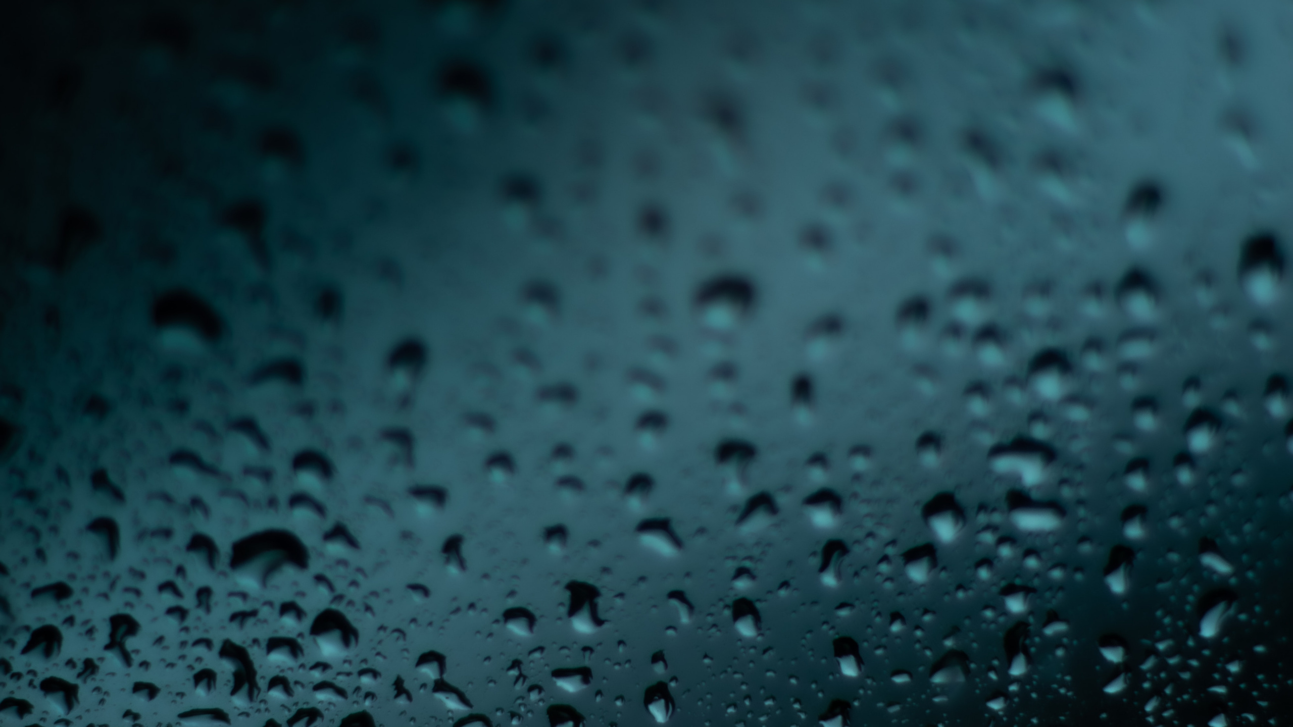 Gouttes D'eau Sur Verre Clair. Wallpaper in 2560x1440 Resolution