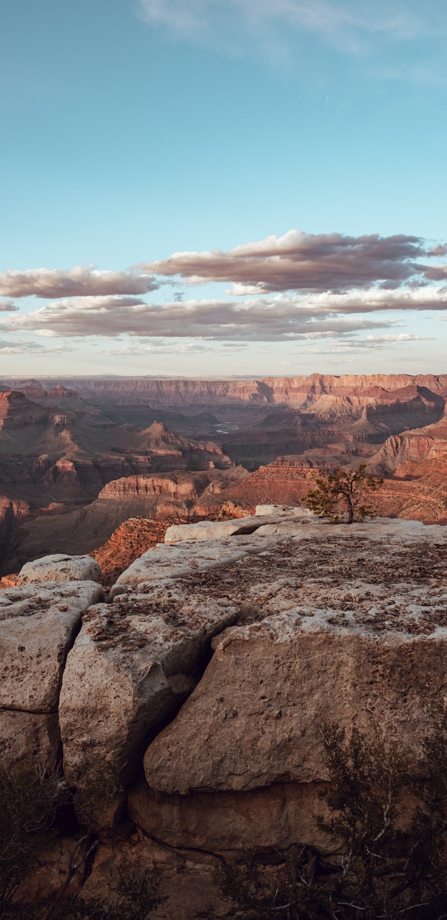 Canyon, Badlands, Rock, Mountainous Landforms, Formation. Wallpaper in 1440x2960 Resolution