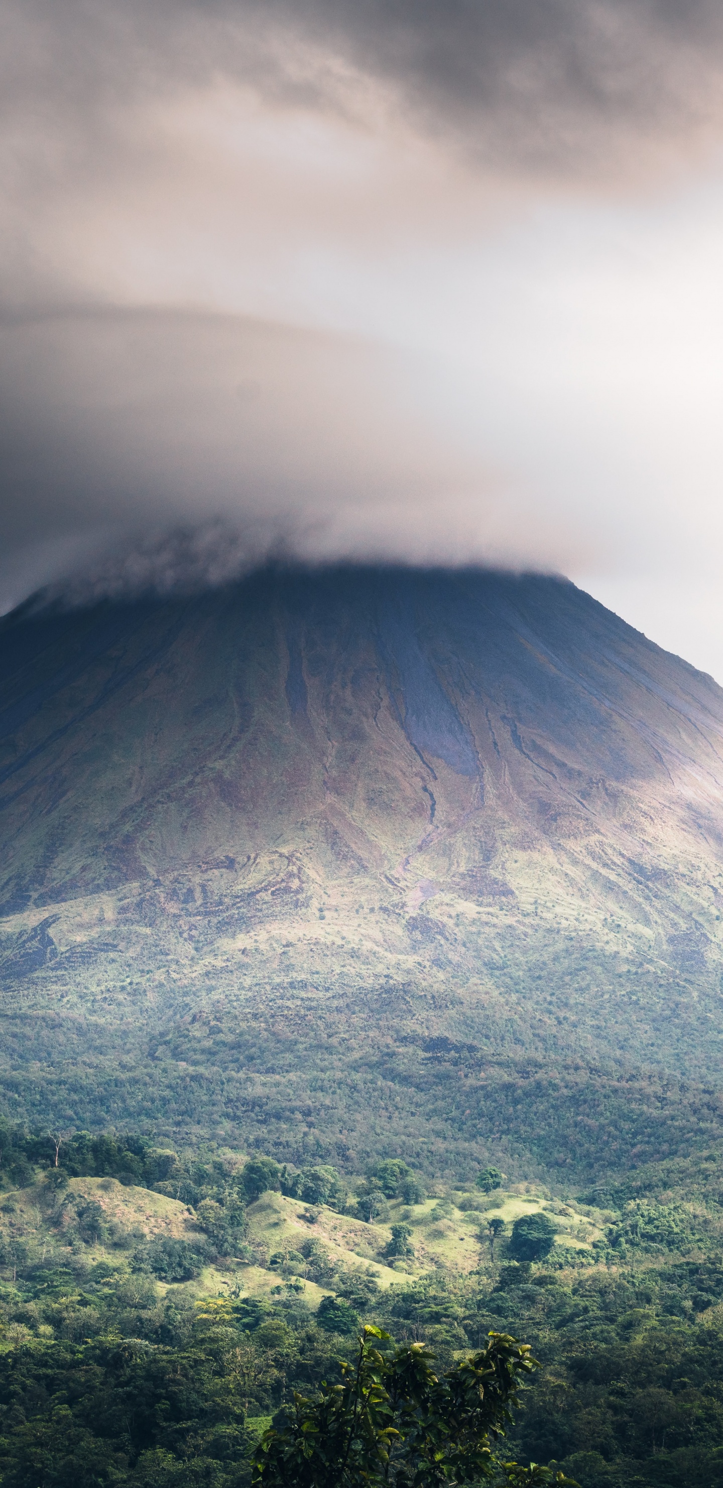 Datos Curiosos de Costa Rica, Volcán Arenal, Viaje, Aventura, Viajar Sola. Wallpaper in 1440x2960 Resolution