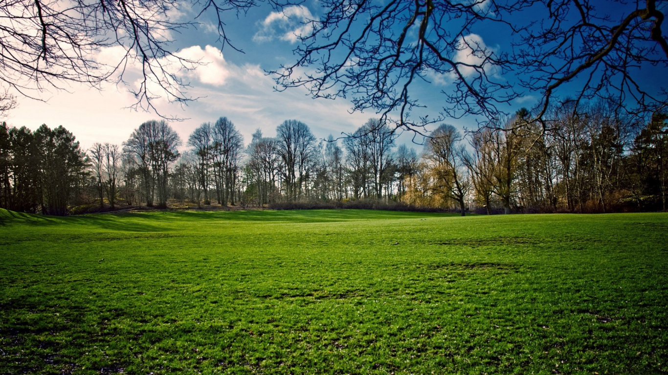 Champ D'herbe Verte Sous Ciel Bleu Pendant la Journée. Wallpaper in 1366x768 Resolution
