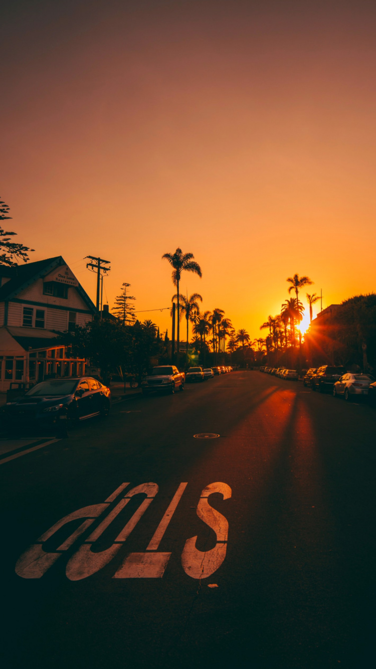 日落, 美学, 光, 车灯, 窗口 壁纸 750x1334 允许