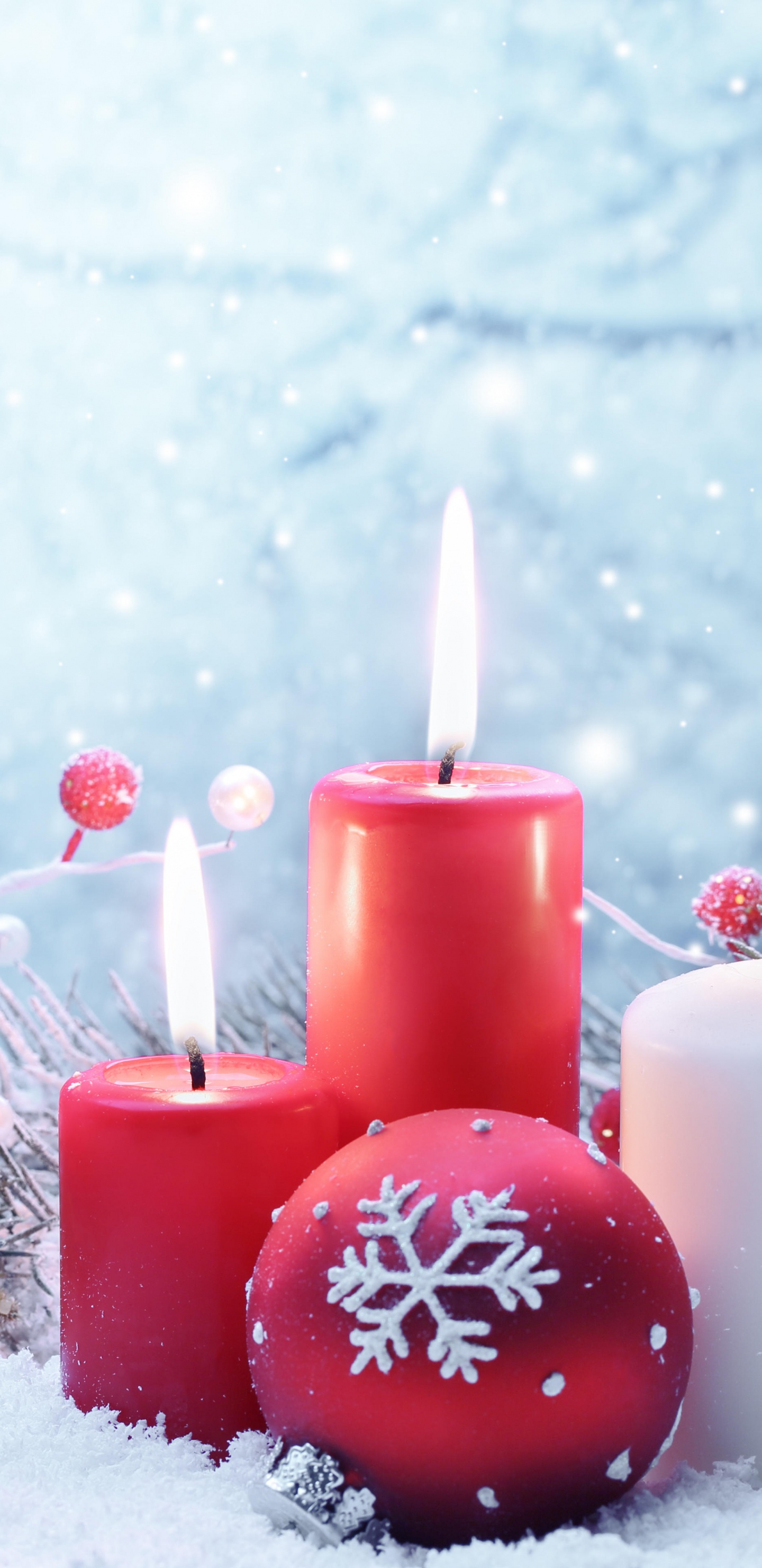 Christmas Day, Christmas Ornament, Winter, Snow, Freezing. Wallpaper in 1440x2960 Resolution