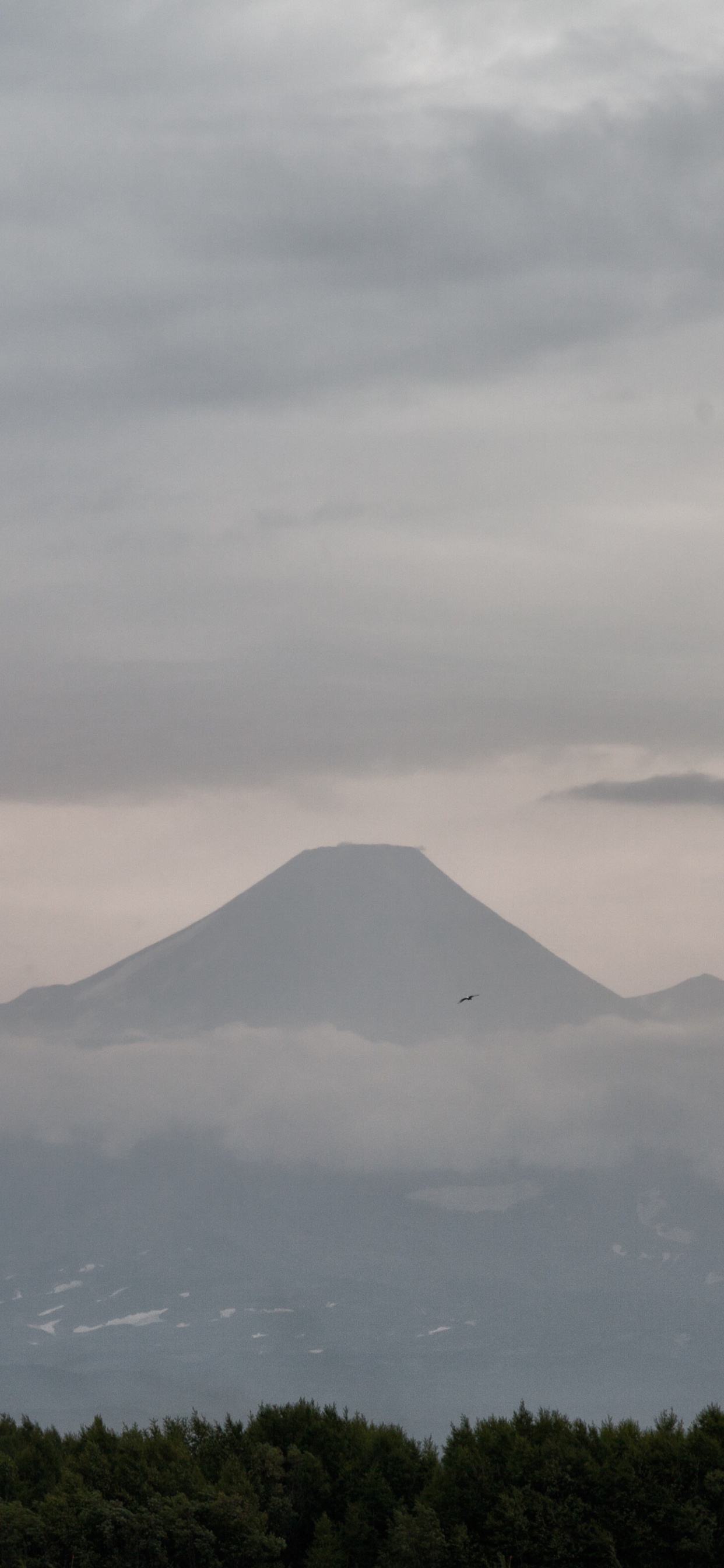 高地, 山脉, 安装的风景, 早上, 气氛 壁纸 1242x2688 允许
