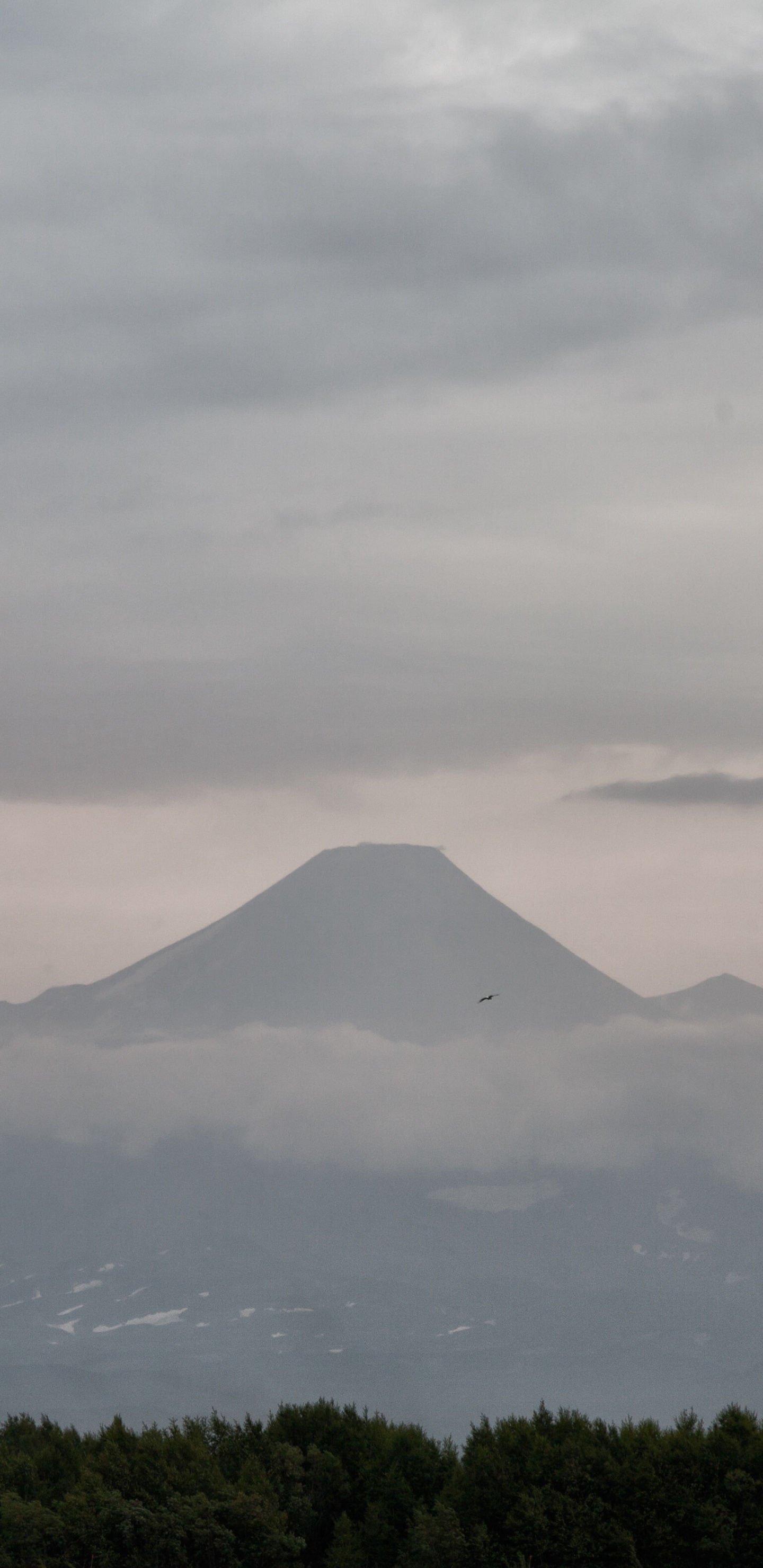 Green Trees Near Mountain Under White Clouds During Daytime. Wallpaper in 1440x2960 Resolution