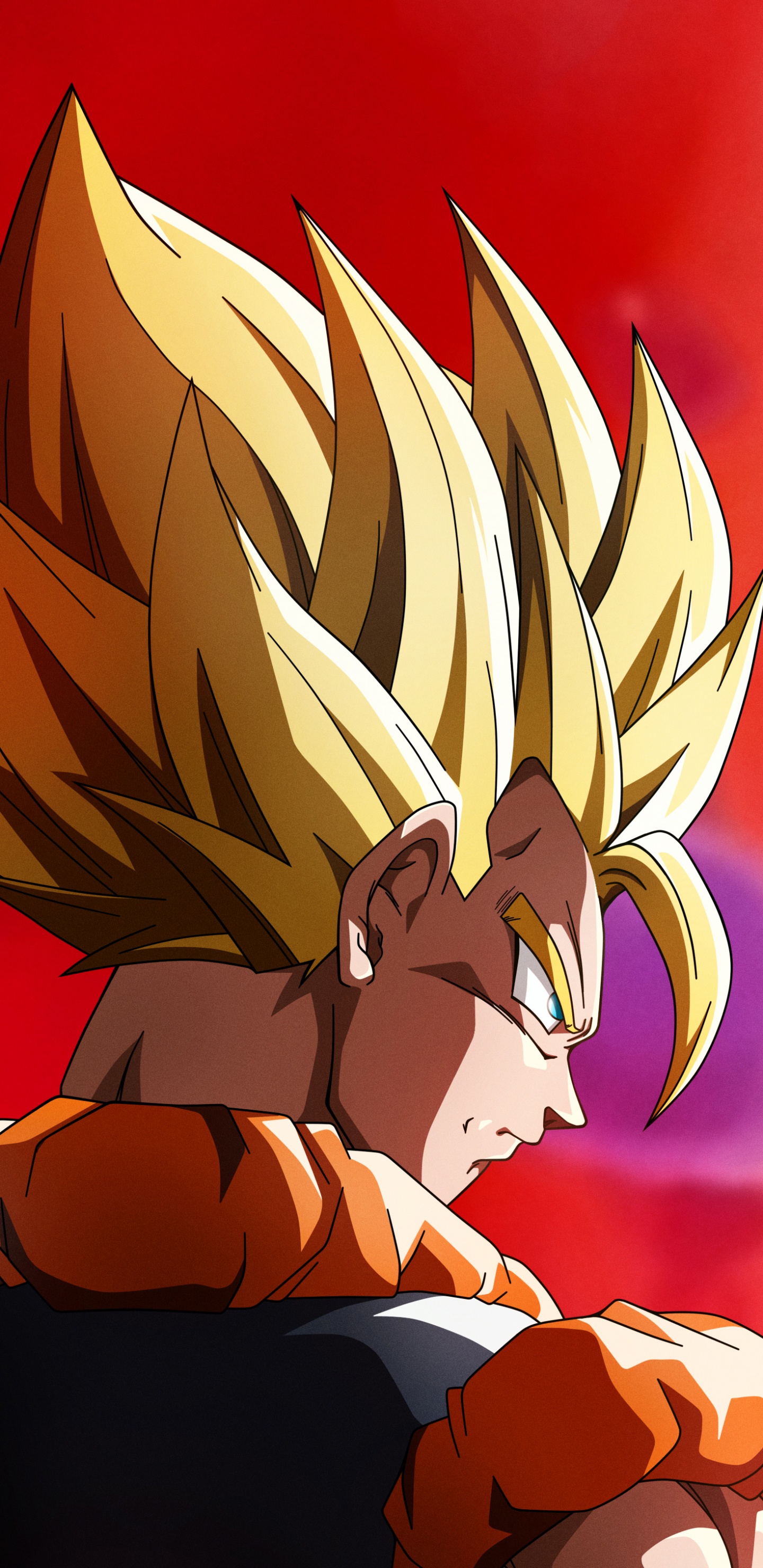 Ilustración de Personaje de Dragon Ball z. Wallpaper in 1440x2960 Resolution