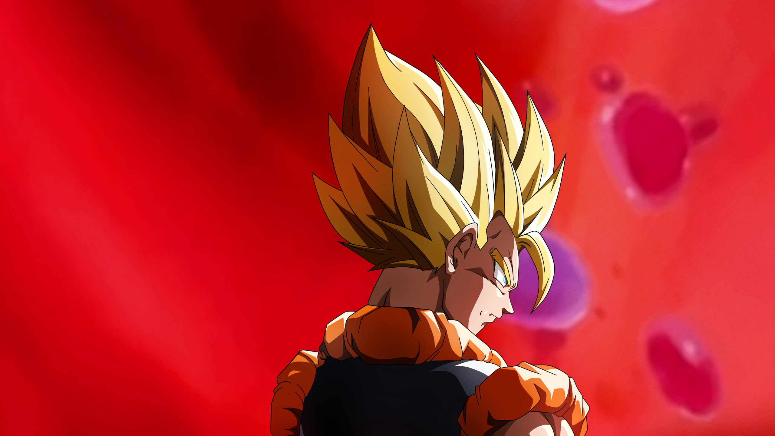 Ilustración de Personaje de Dragon Ball z. Wallpaper in 2560x1440 Resolution