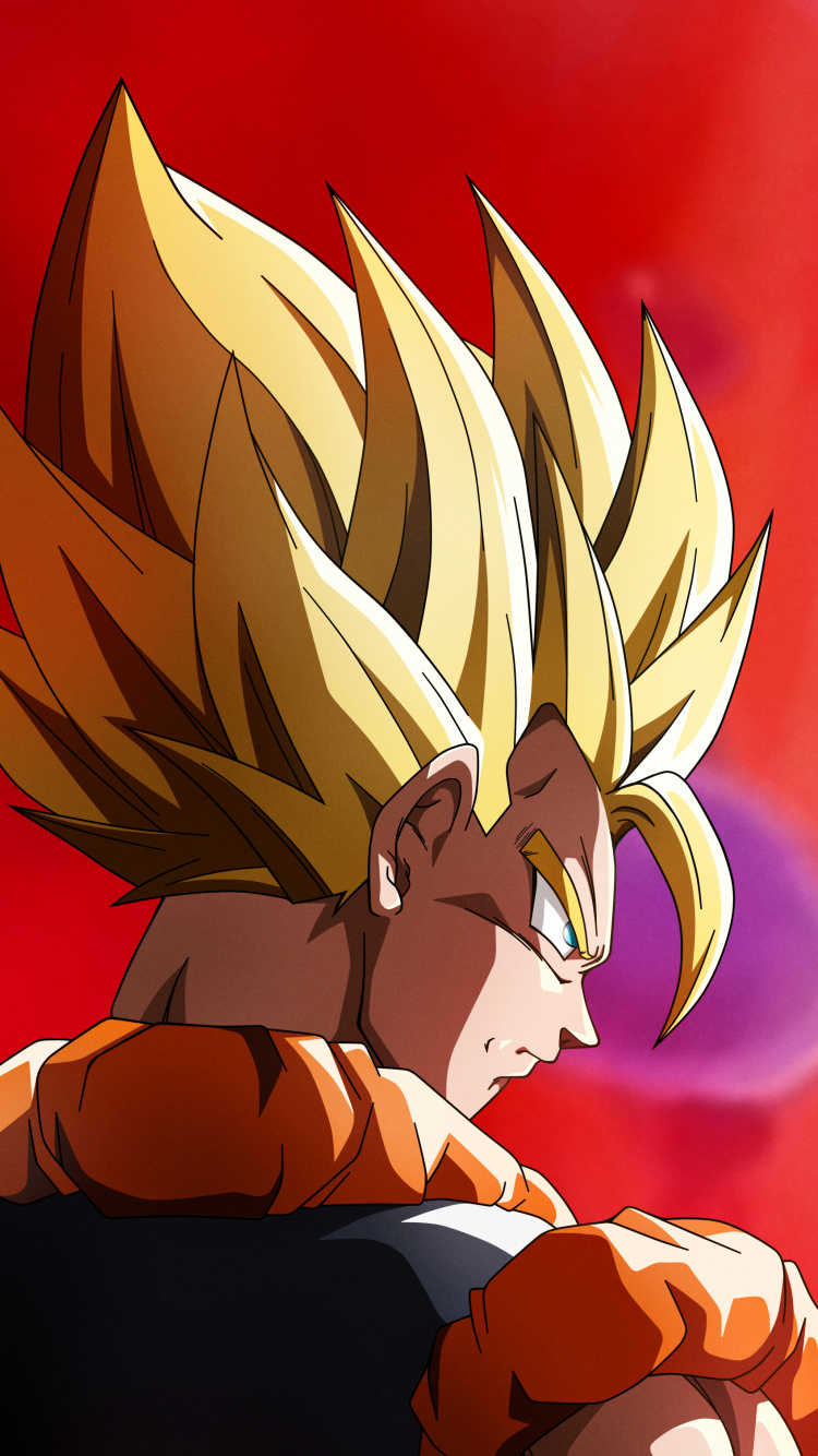 Dragon Ball Z Charakterillustration. Wallpaper in 750x1334 Resolution