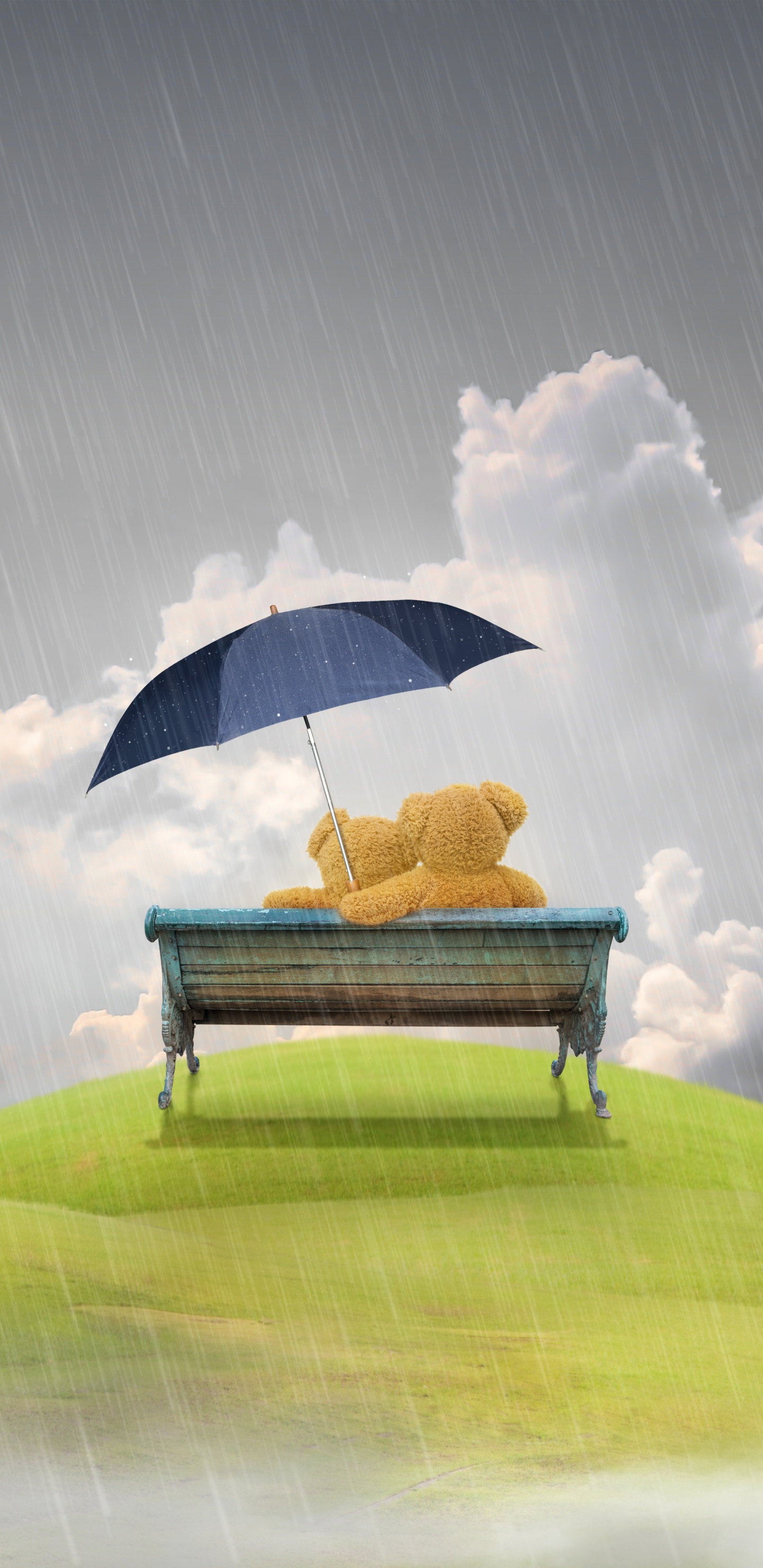 Teddy Bear, Cloud, Atmosphere, Illustration, Landscape. Wallpaper in 1440x2960 Resolution