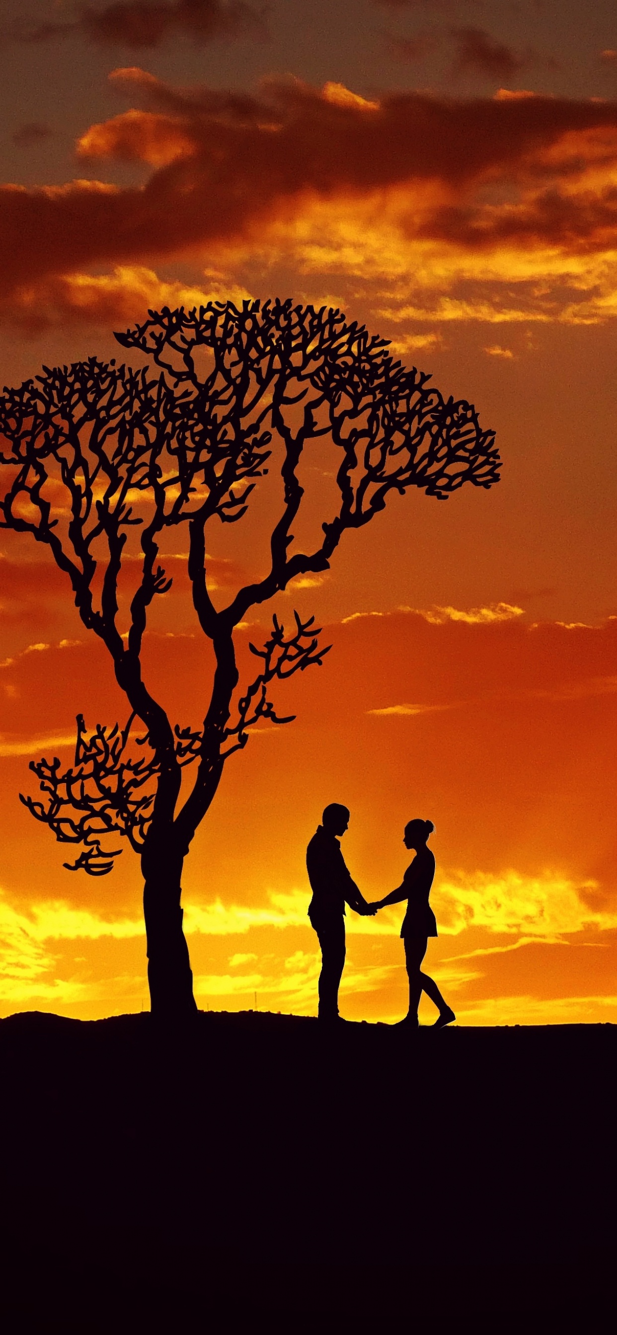 Les Gens Dans la Nature, Afterglow, Nature, Savane, Paysage Naturel. Wallpaper in 1242x2688 Resolution