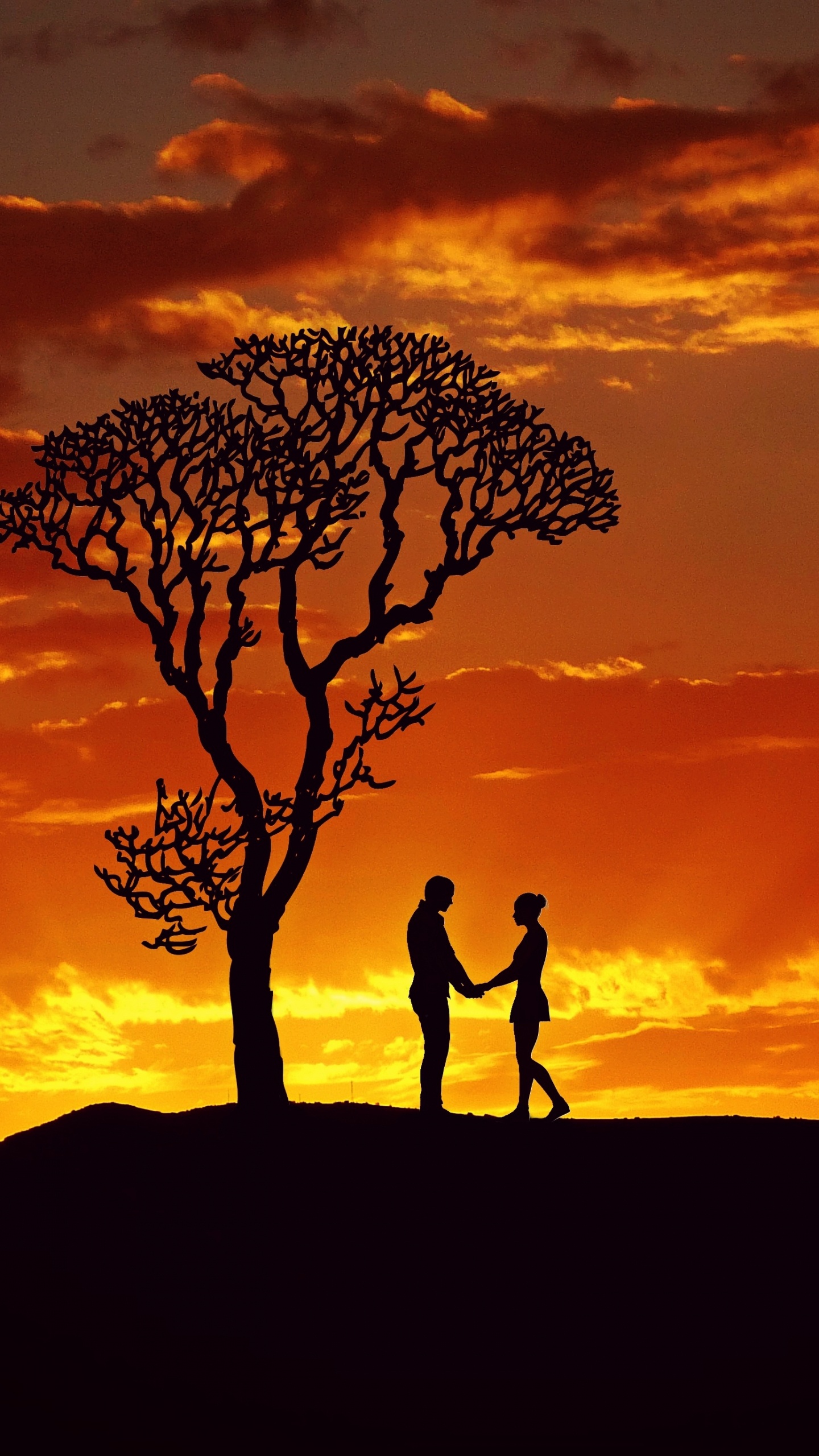 Menschen in Der Natur, Afterglow, Natur, Baum, Sonnenuntergang. Wallpaper in 1440x2560 Resolution