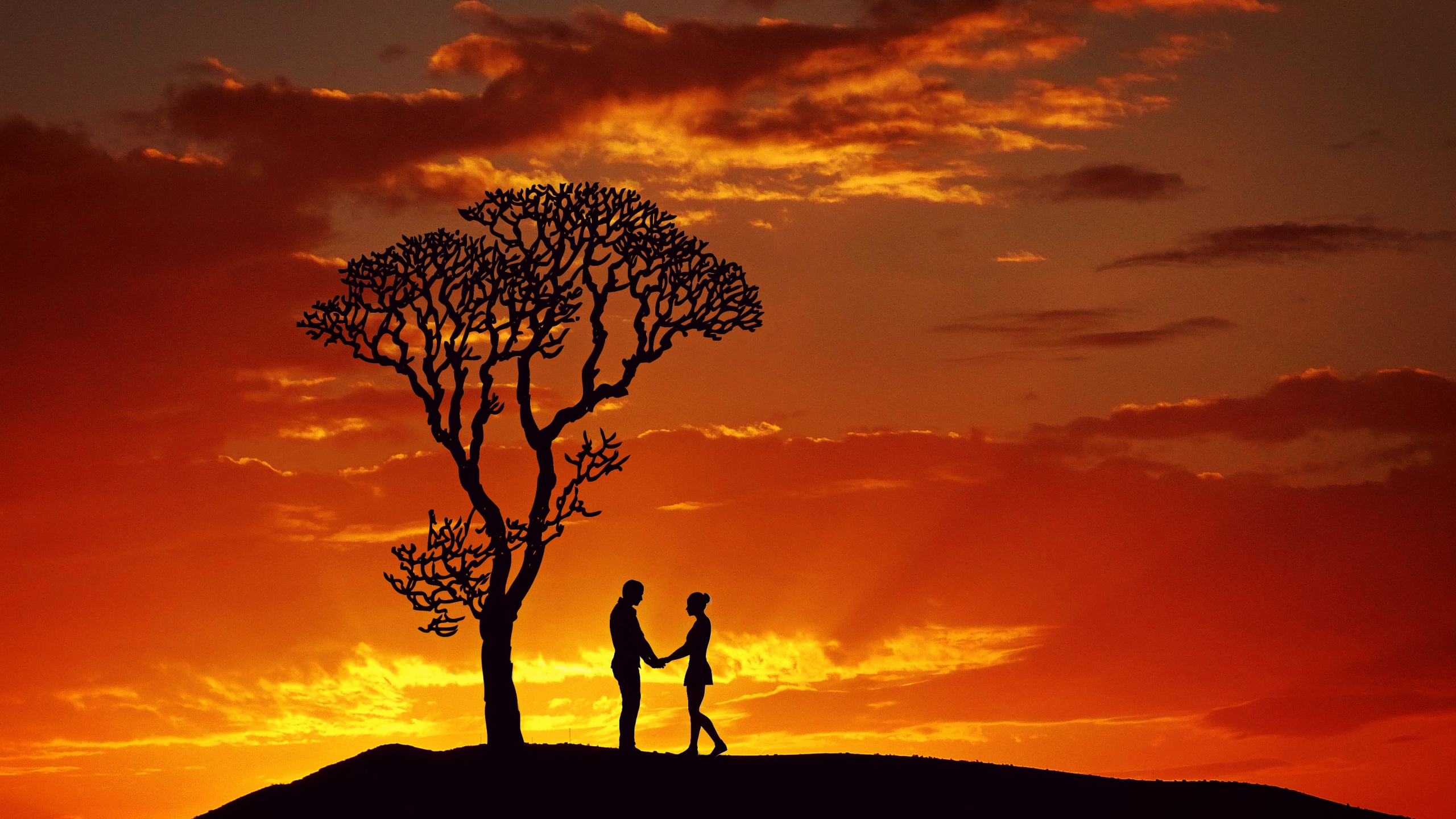 People in Nature, Afterglow, Nature, Tree, Sunset. Wallpaper in 2560x1440 Resolution