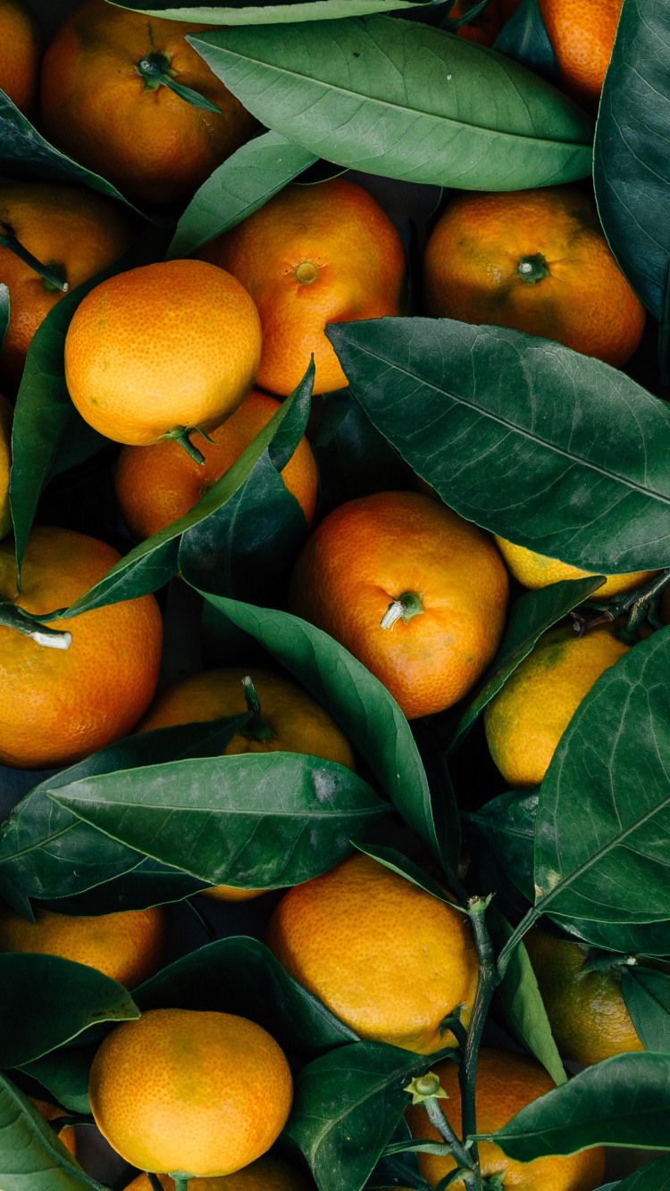 Fruits Orange Sur Feuilles Vertes. Wallpaper in 750x1334 Resolution
