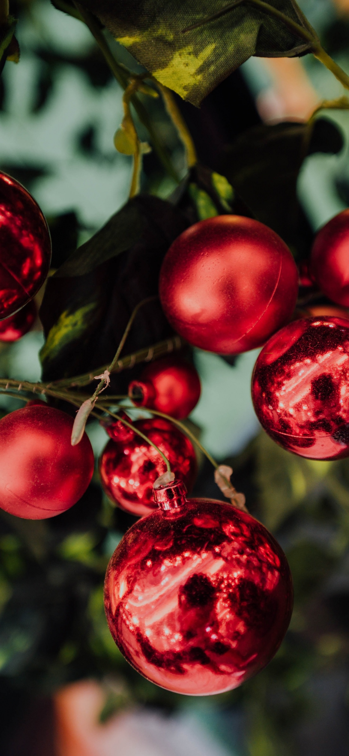 Red Round Fruits in Close up Photography. Wallpaper in 1125x2436 Resolution