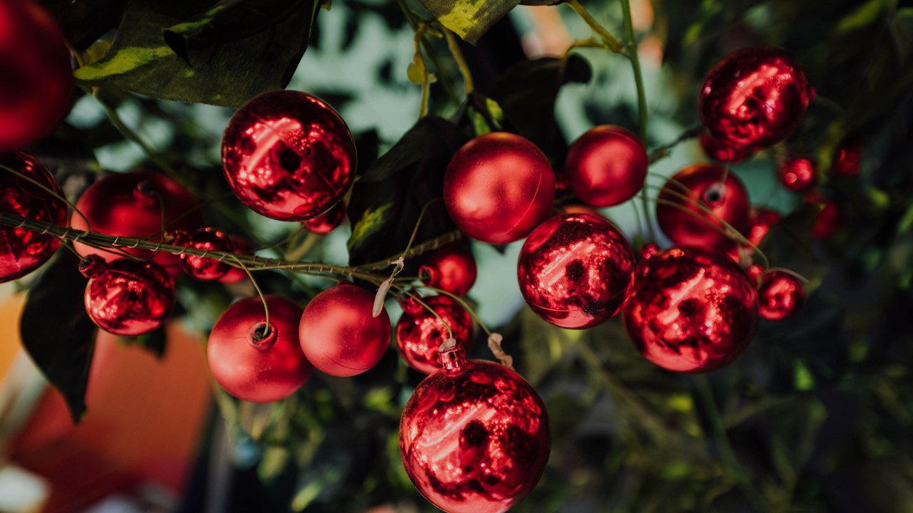 Red Round Fruits in Close up Photography. Wallpaper in 1280x720 Resolution