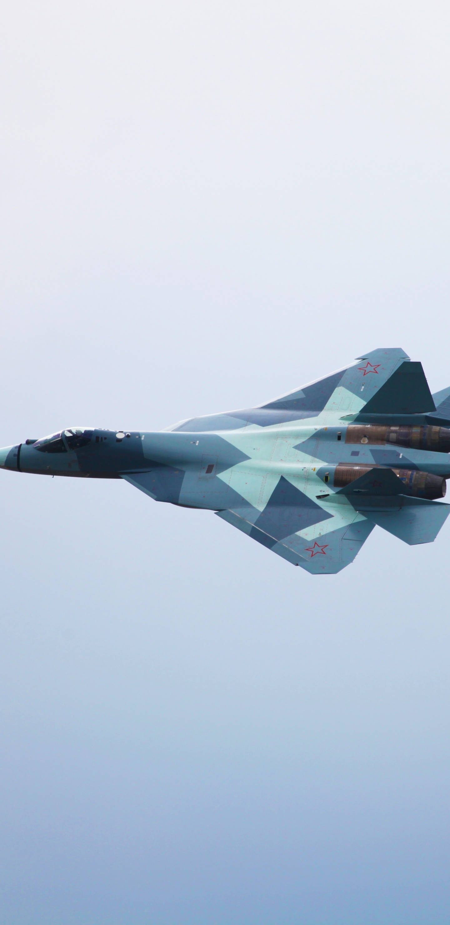 Avion à Réaction Gris Dans Les Airs. Wallpaper in 1440x2960 Resolution