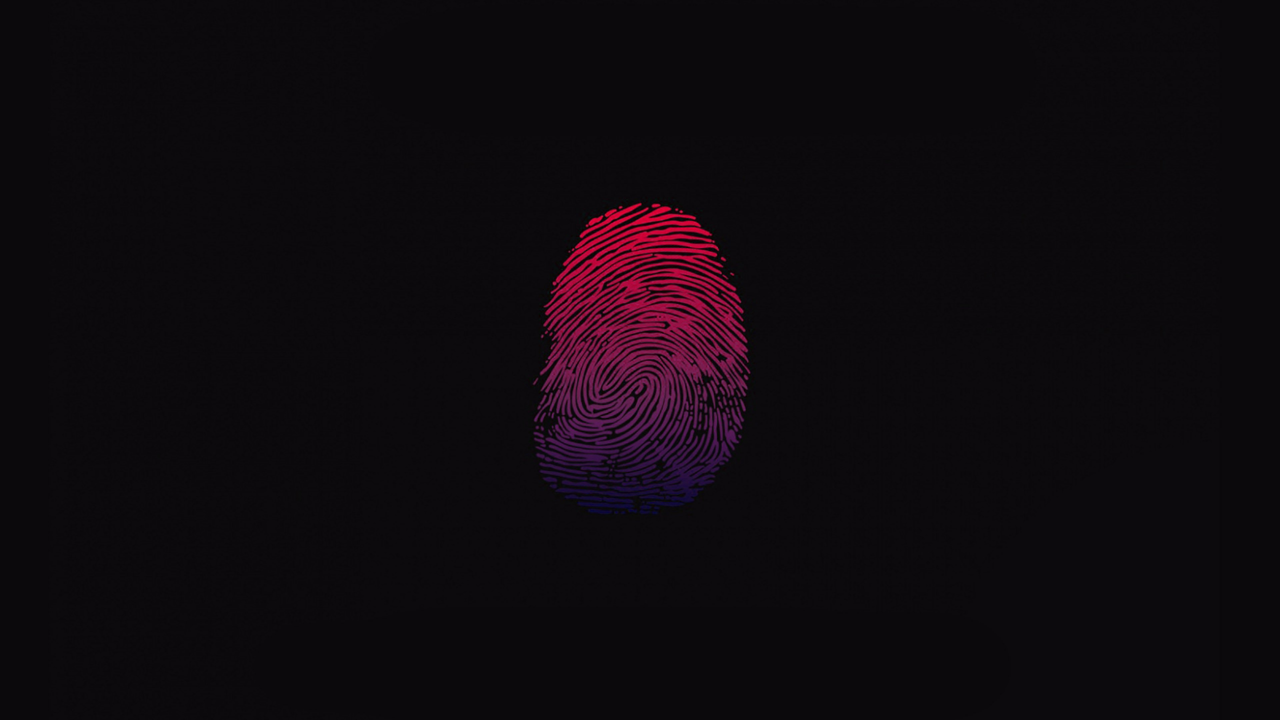 光, 紫罗兰色, 红色的, 紫色的, 粉红色 壁纸 2560x1440 允许