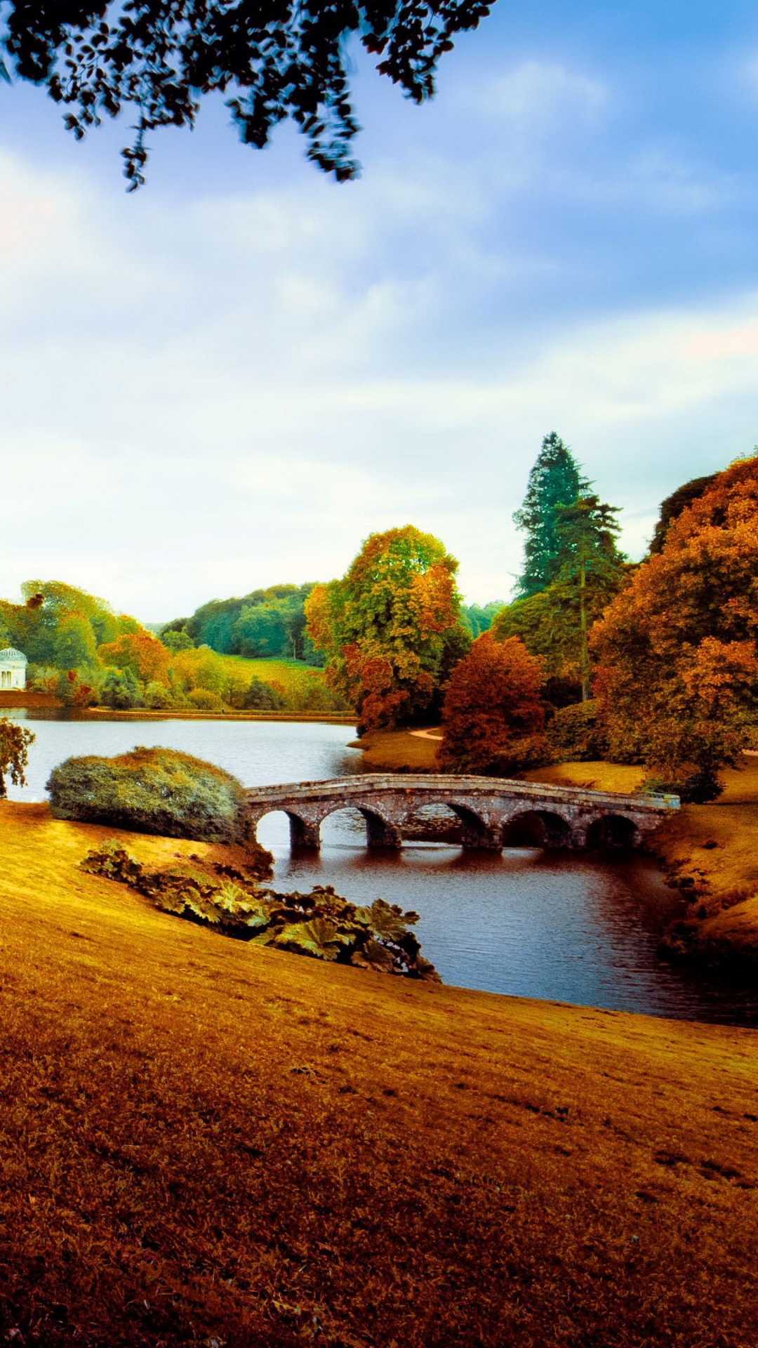 Árboles Verdes y Campo de Hierba Durante el Día. Wallpaper in 1080x1920 Resolution