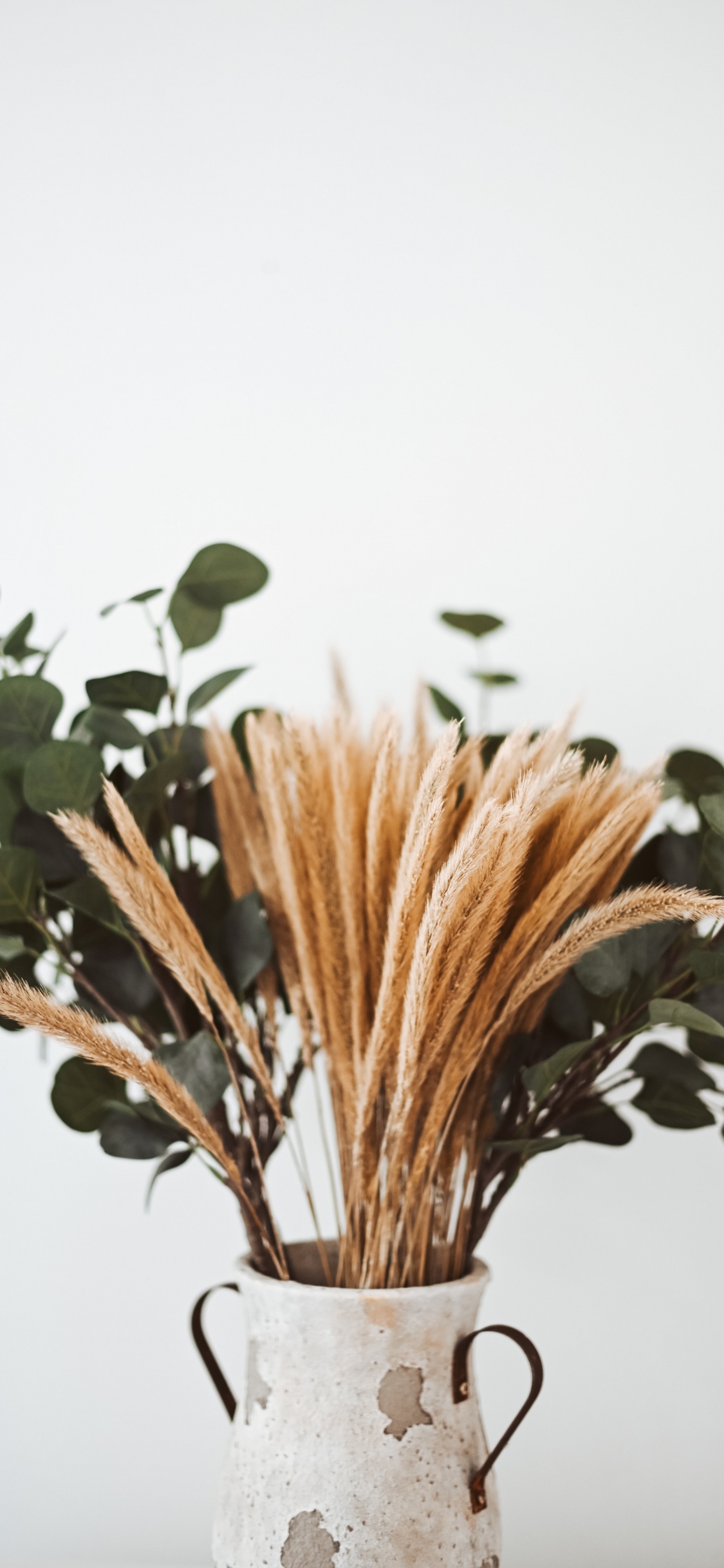 Brown and Green Plant on Brown Wicker Pot. Wallpaper in 1125x2436 Resolution