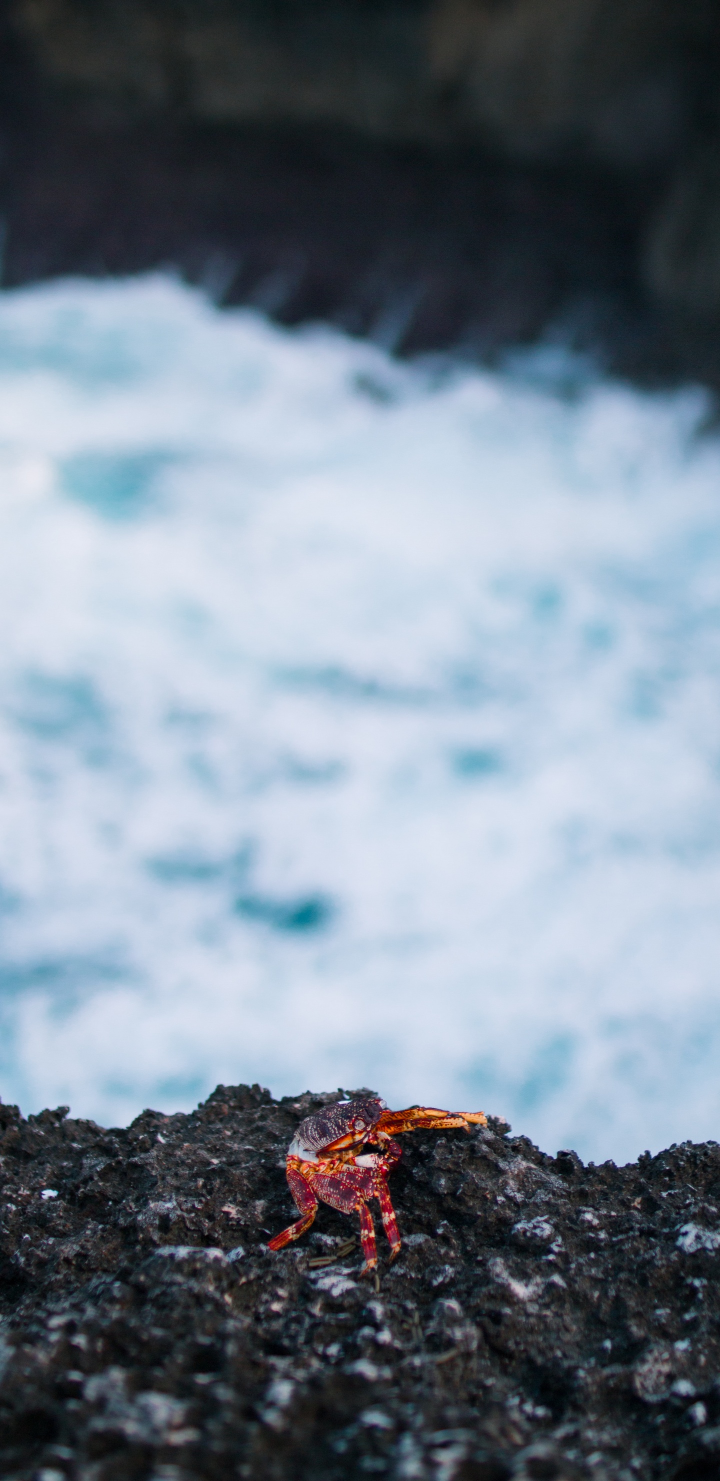 Black Rock Formation Near Body of Water. Wallpaper in 1440x2960 Resolution