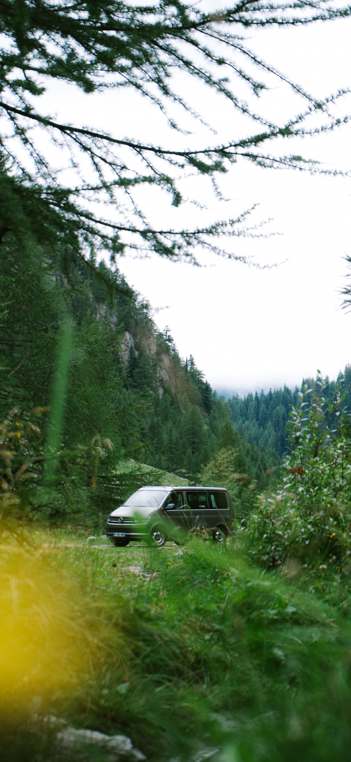 White Car on Green Grass Field During Daytime. Wallpaper in 1125x2436 Resolution
