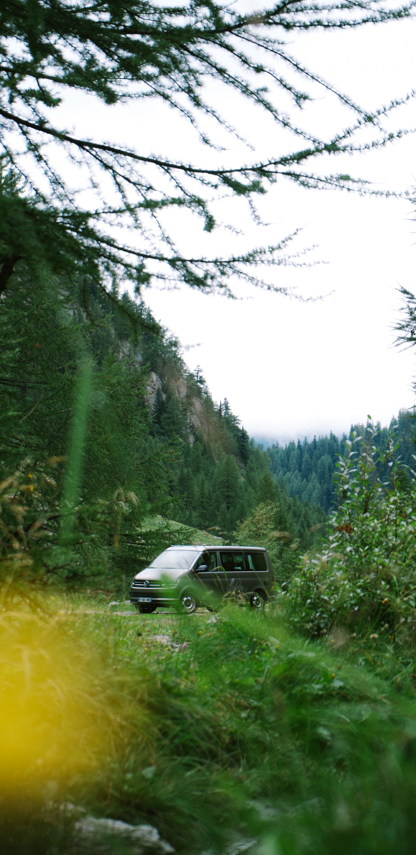 Download 1440x2960 Wallpaper White Car on Green Grass Field During Daytime White Car on Green Grass Field During Daytime. Wallpaper in 1440x2960 Resolution