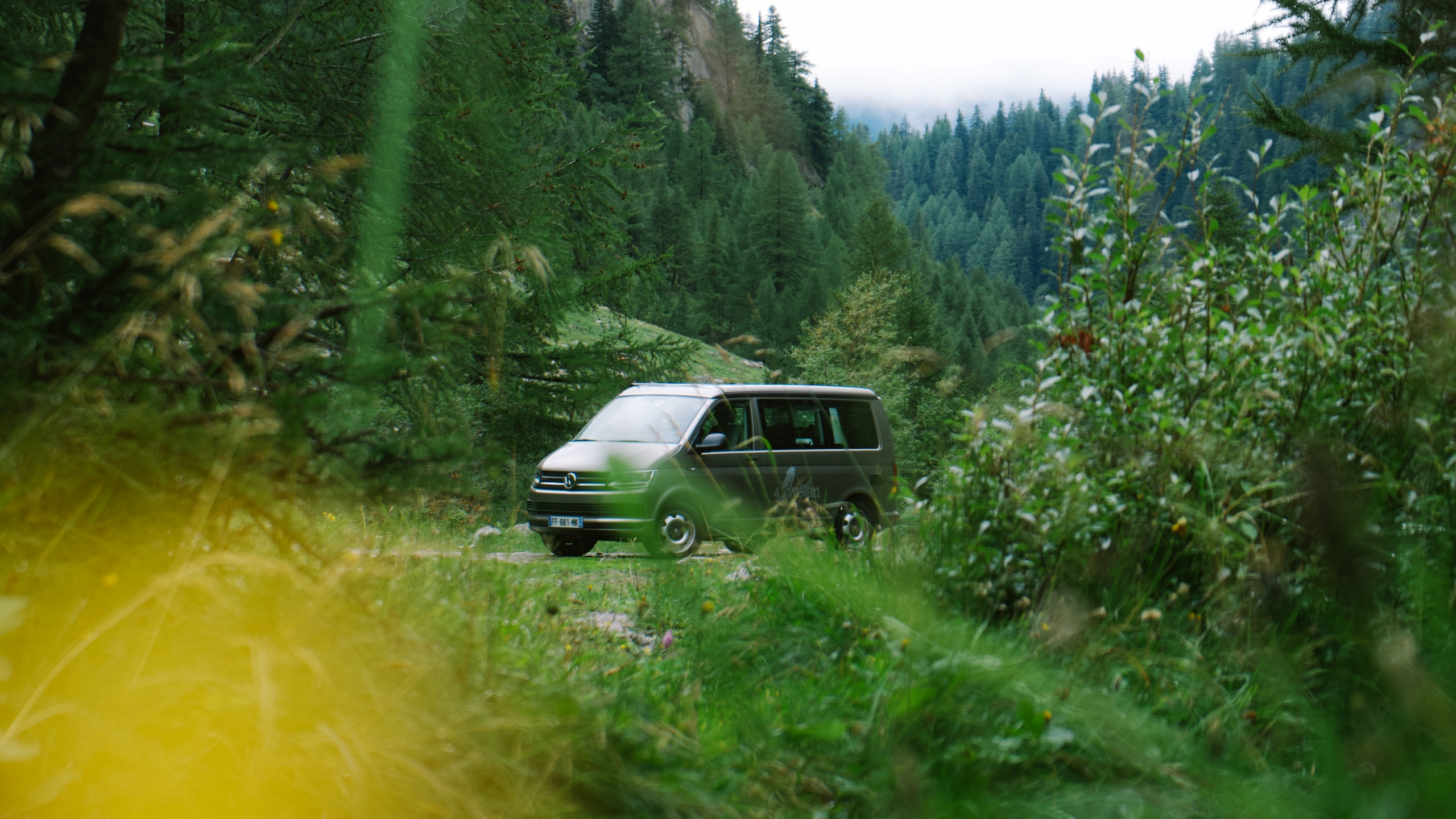 White Car on Green Grass Field During Daytime. Wallpaper in 2560x1440 Resolution