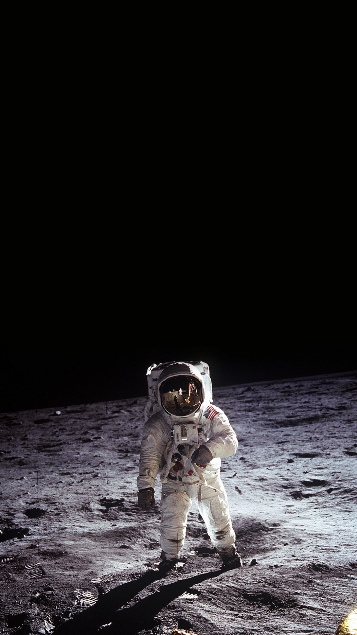 Apolo 11, Programa Apolo, la Nasa, la Exploración Del Espacio, Águila Del Módulo Lunar. Wallpaper in 720x1280 Resolution