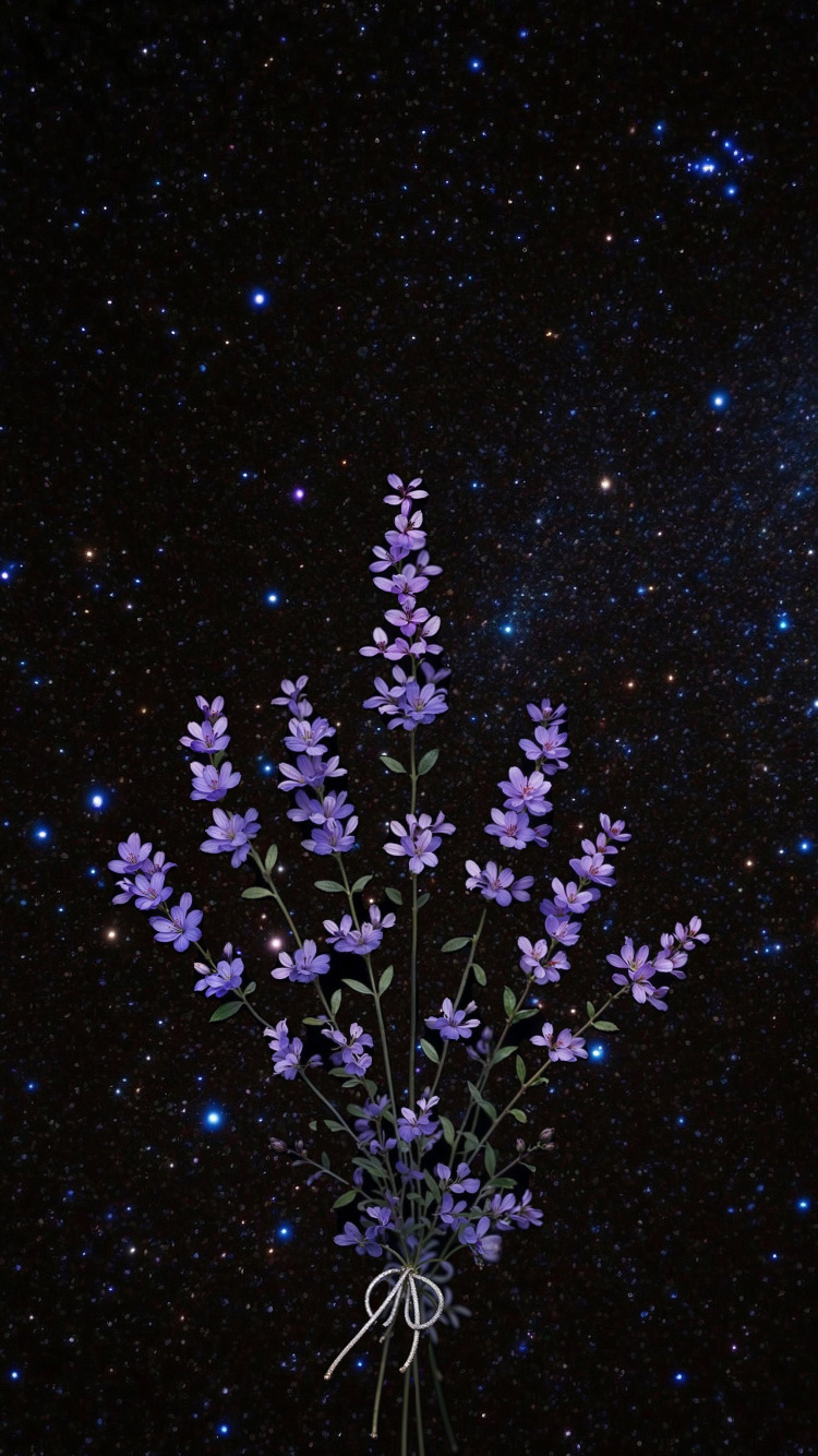 Geissorhiza, Used, Create, Blog, Closing. Wallpaper in 750x1334 Resolution